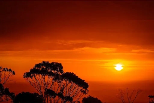 Sundowner Social