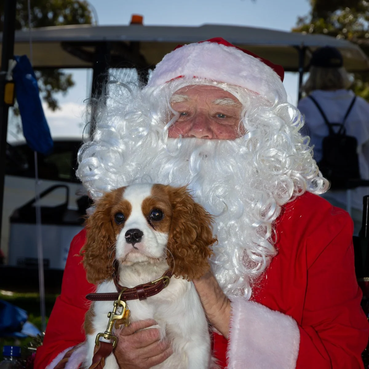 Christmas Wind-up Party