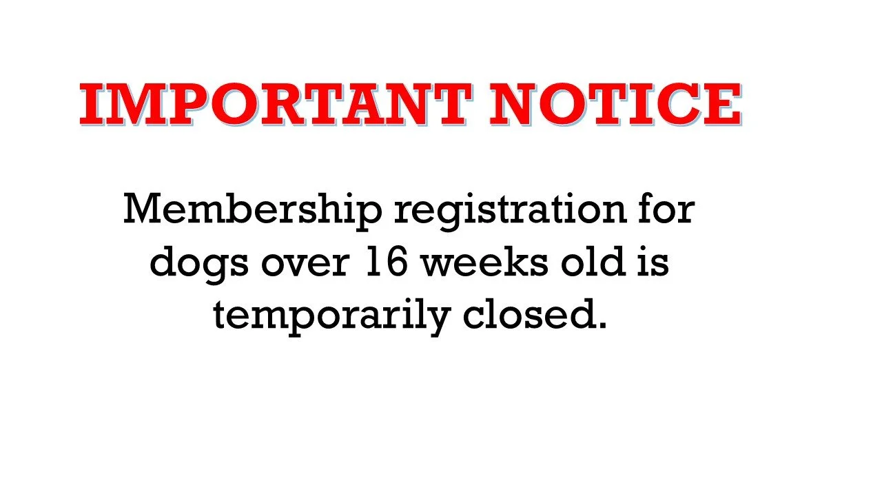 Due to extremely large class sizes, Northern Suburbs Training and Obedience Dog Club regrets that membership is temporarily closed. For more than 40 years, our primary objective has been to provide training and promote responsible dog o