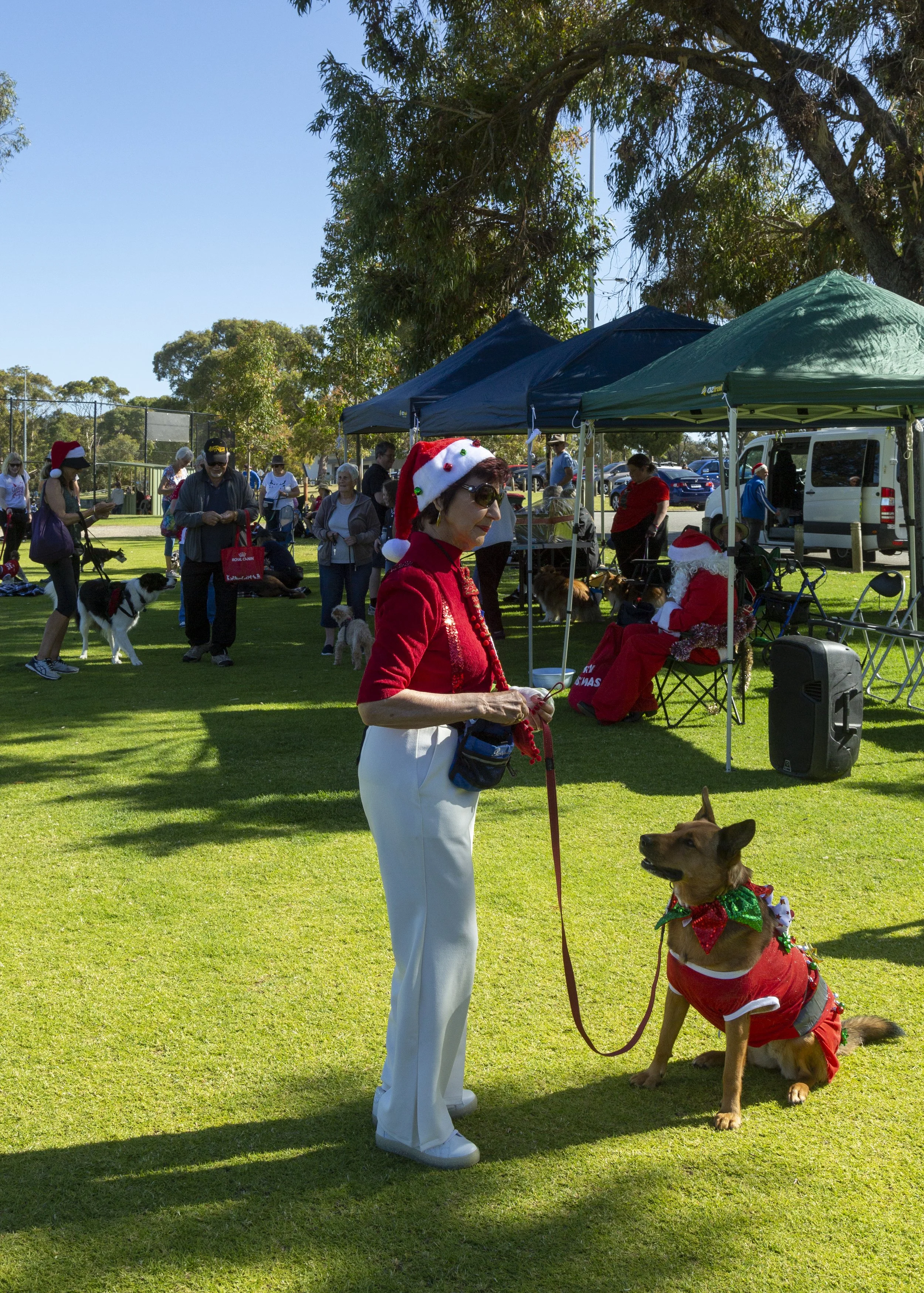 DWD &amp; Tricks Christmas