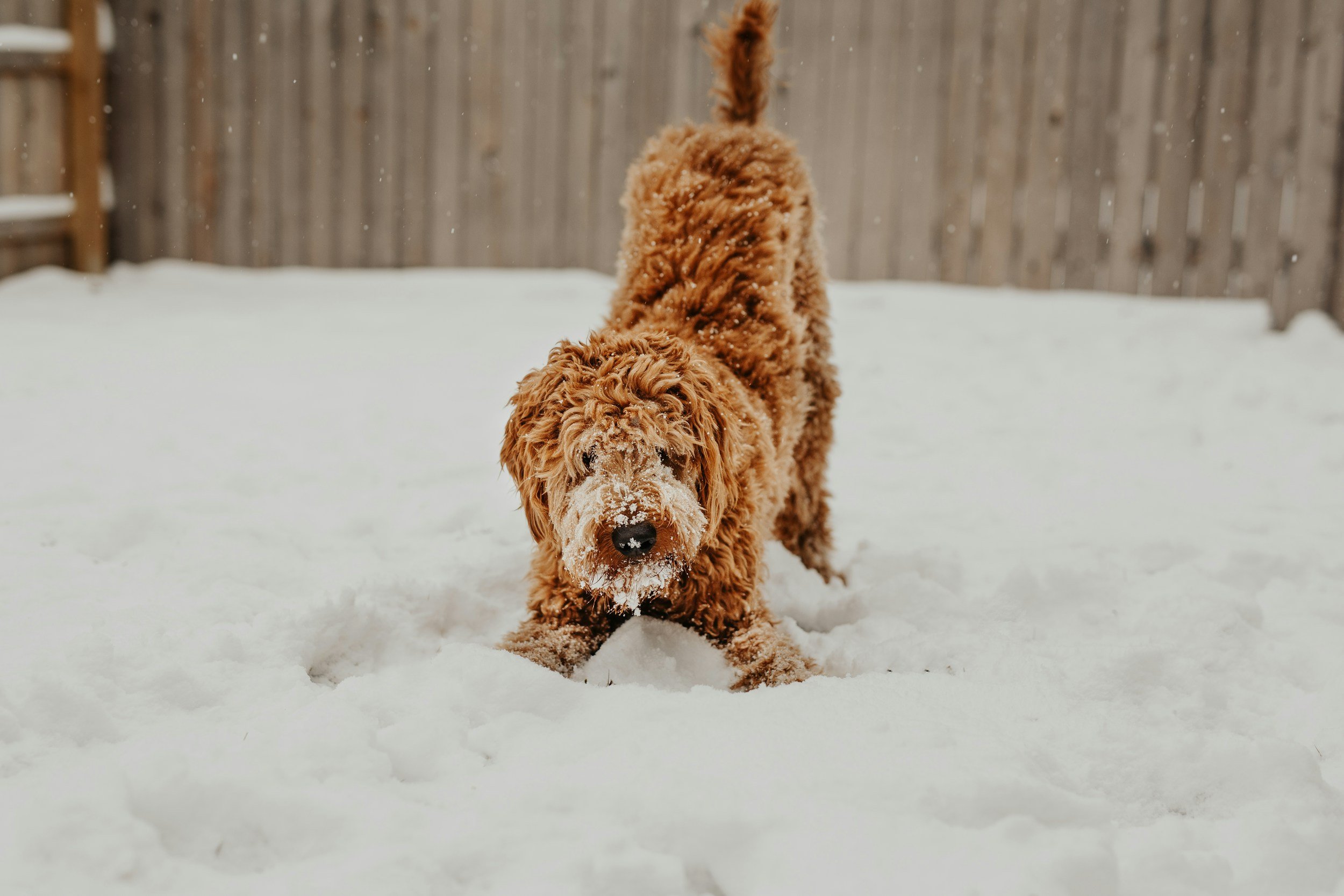 Change to Winter Training Times