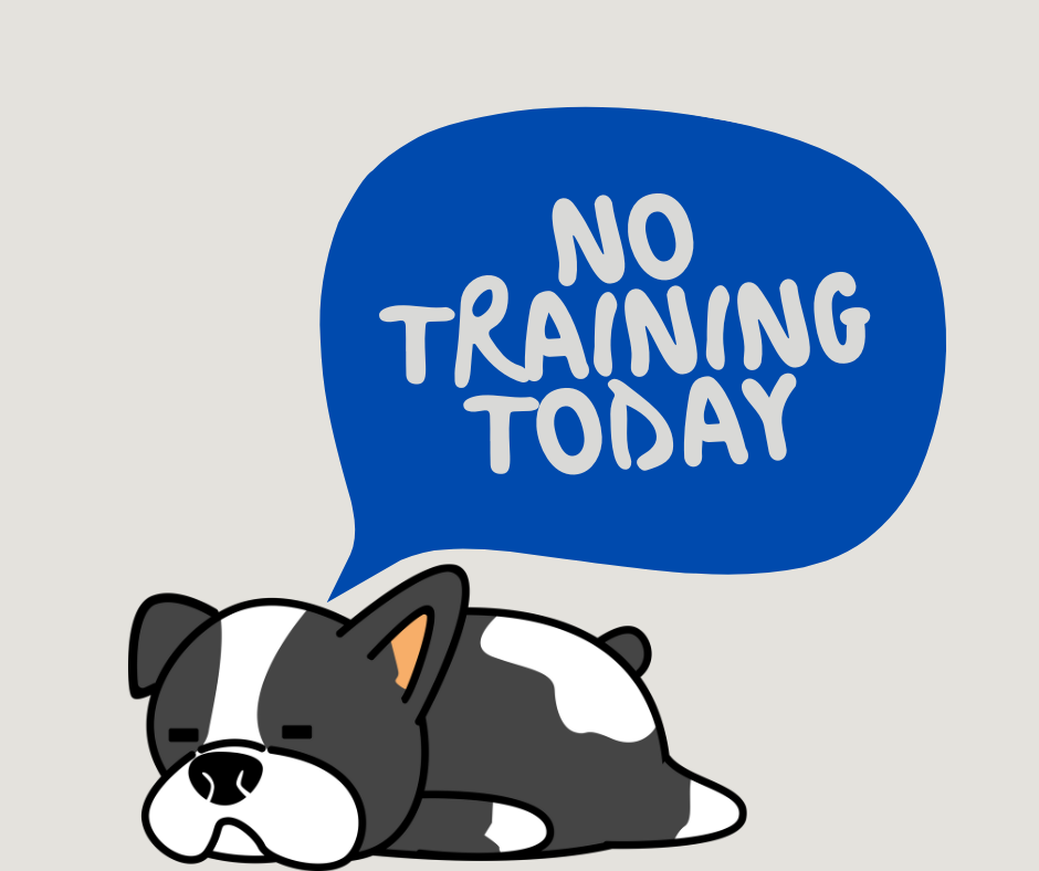 No Training Today