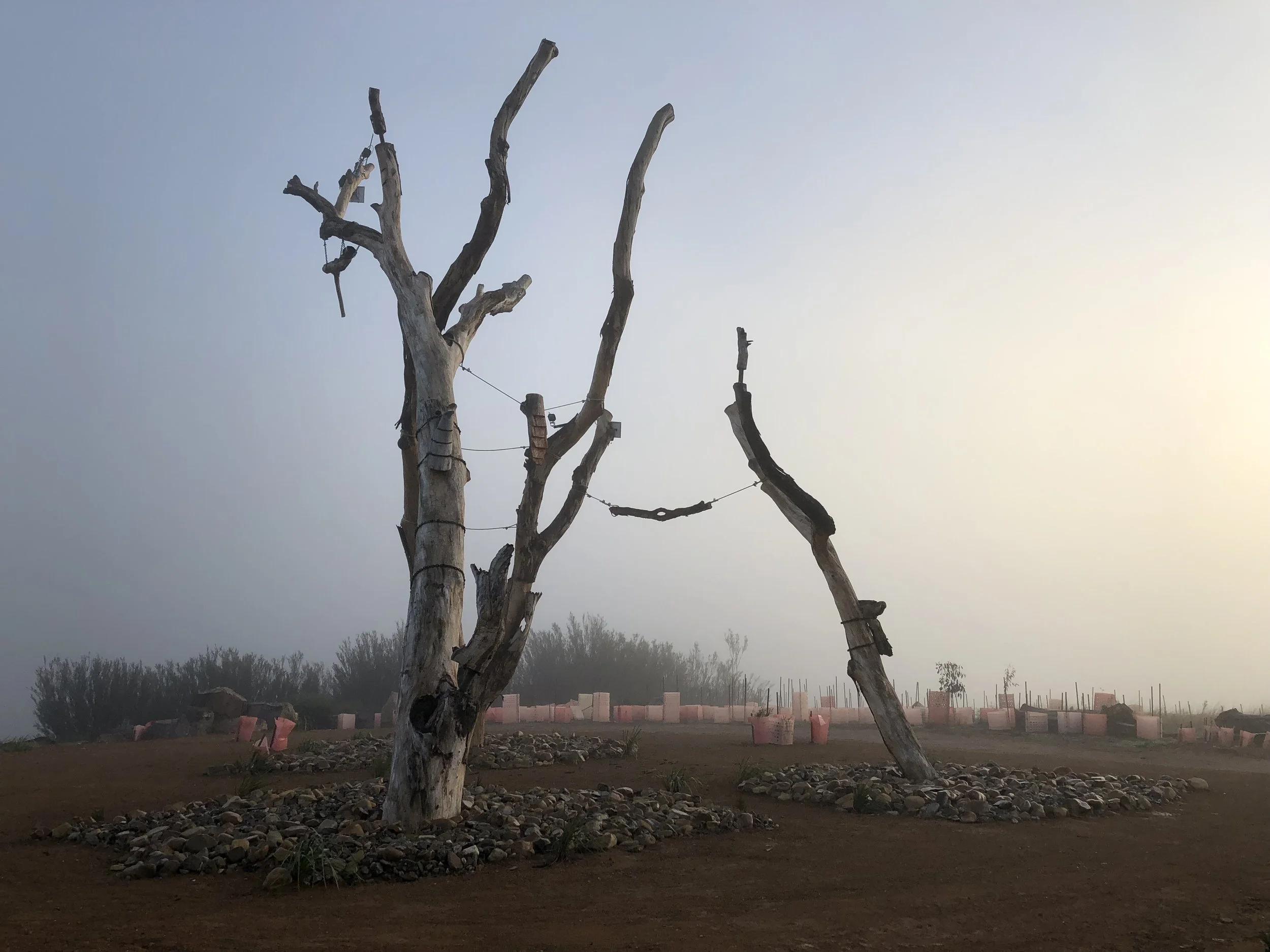 Molonglo Habitat Sculpture