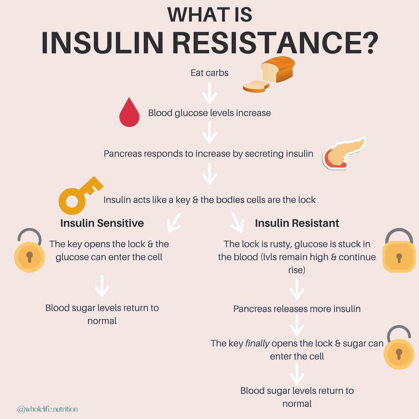 WHAT IS INSULIN RESISTANCE?⬇️⁣⁣
⁣⁣
~70% of women with PCOS have insulin resistance⁣⁣
⁣⁣
It&rsquo;s when the receptors on your cells are resisting binding to insulin (the hormone produces by your pancreas in response to changes in blood sugar levels)⁣