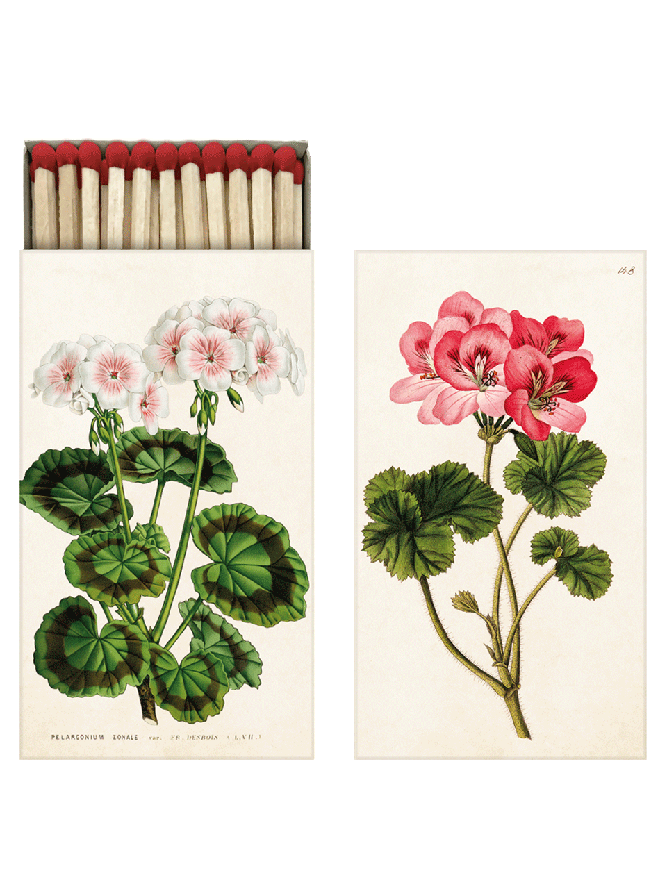 Zündhölzer GERANIE