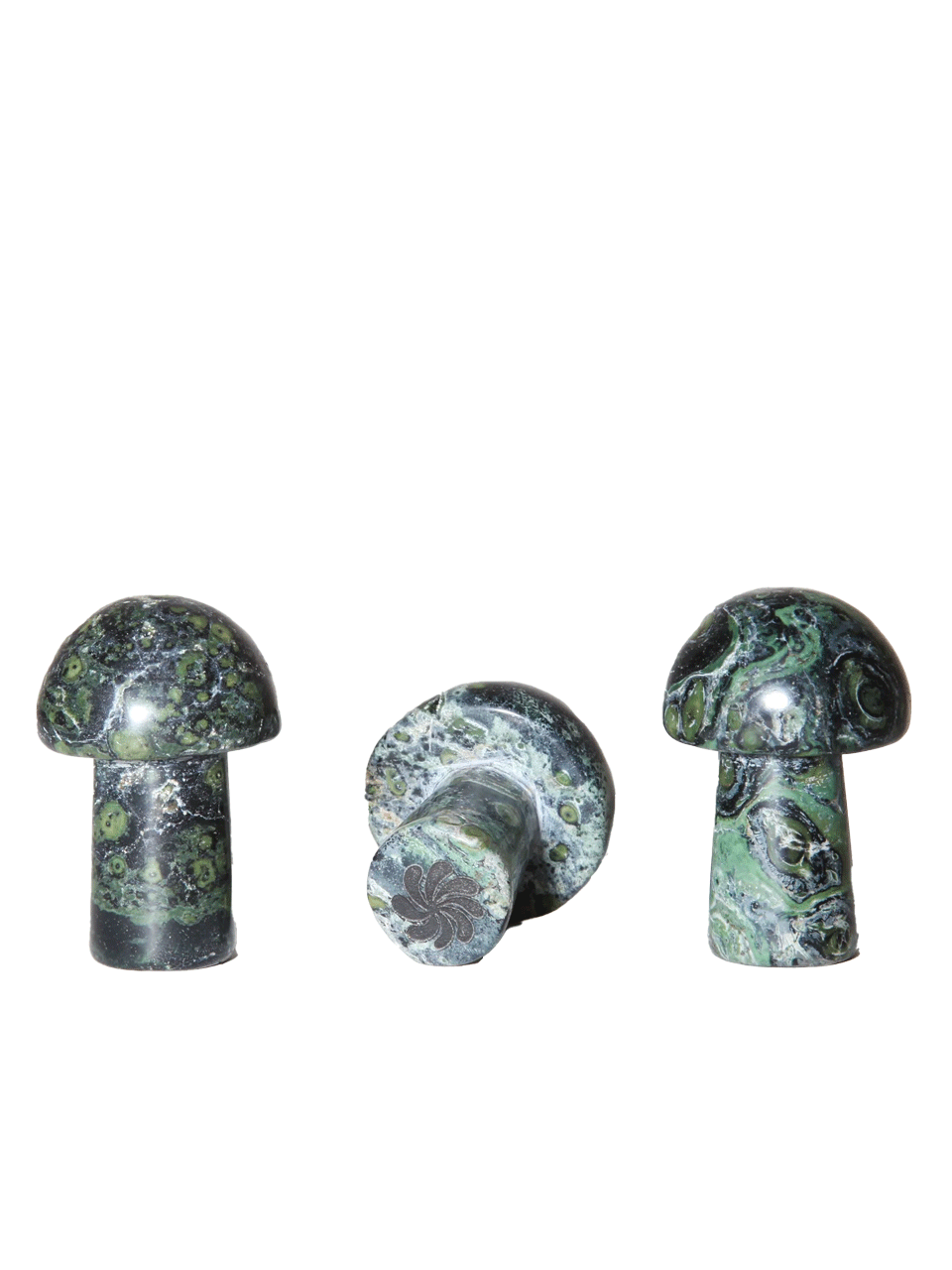 nhb-shroom-2.png
