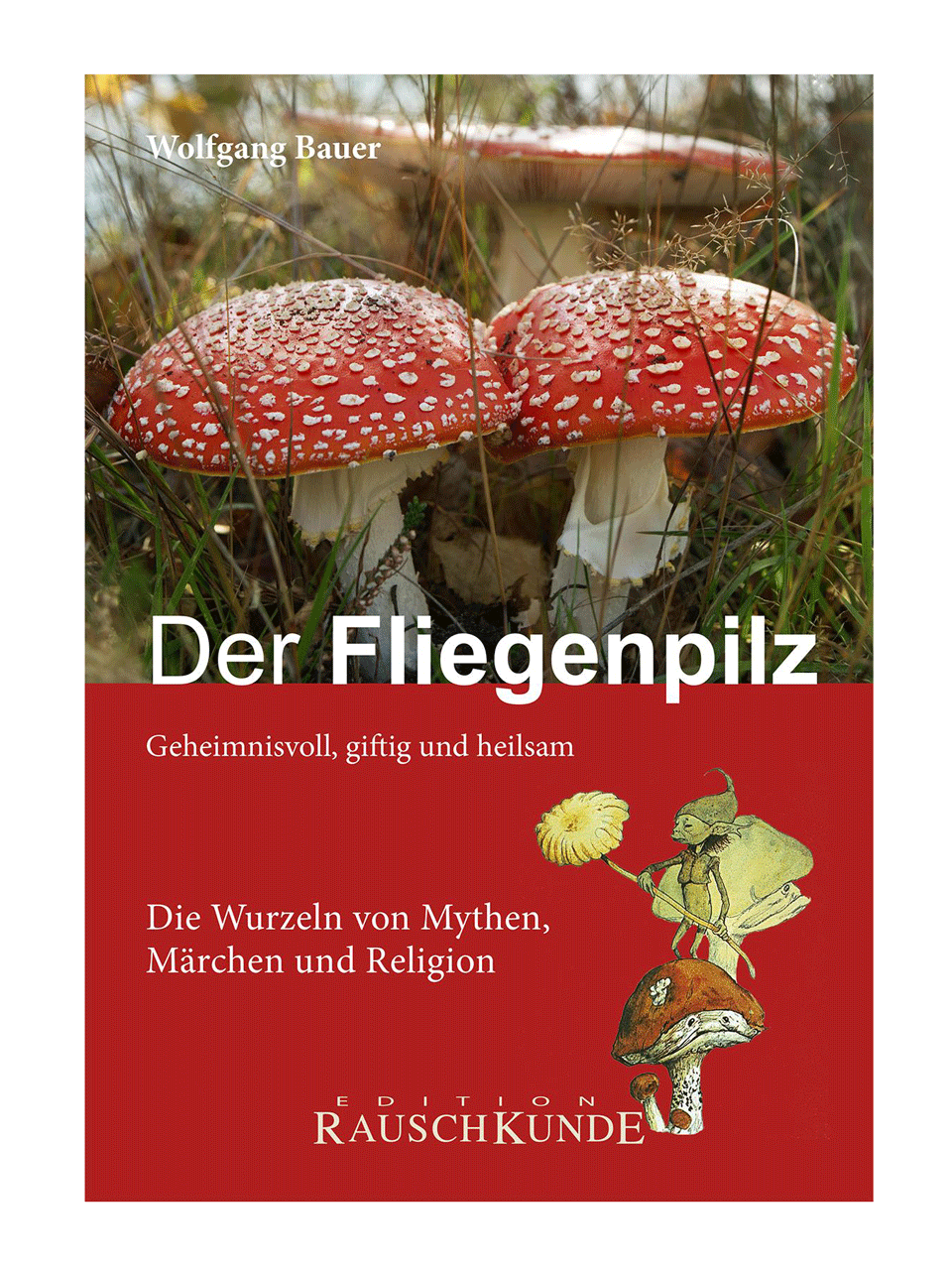 der-fliegenpilz.png