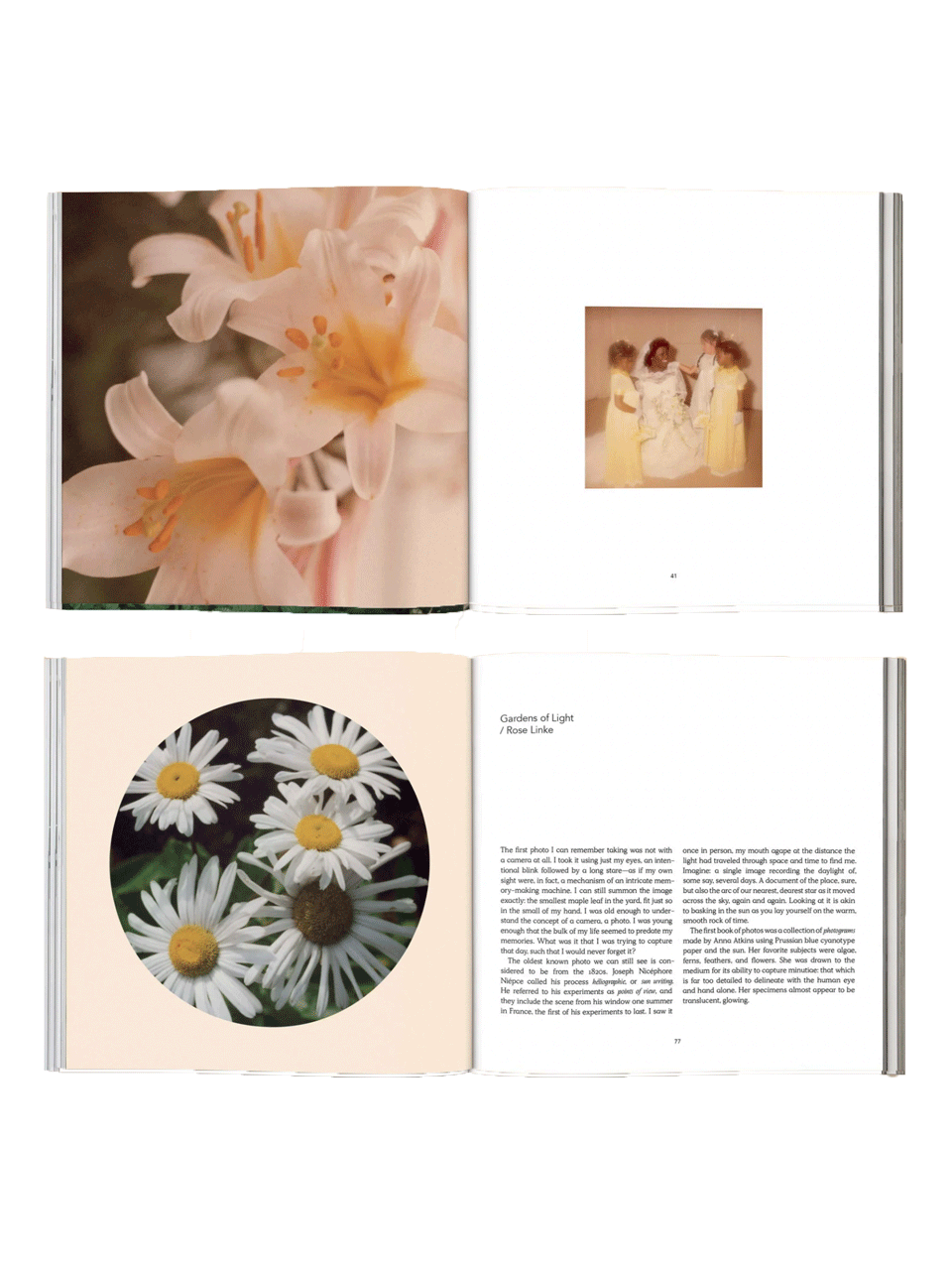 forgotten-flowers-3.png