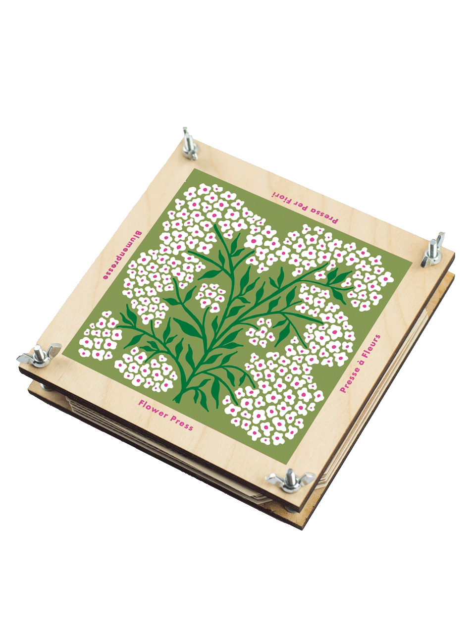 FORGET ME NOT Flower Press