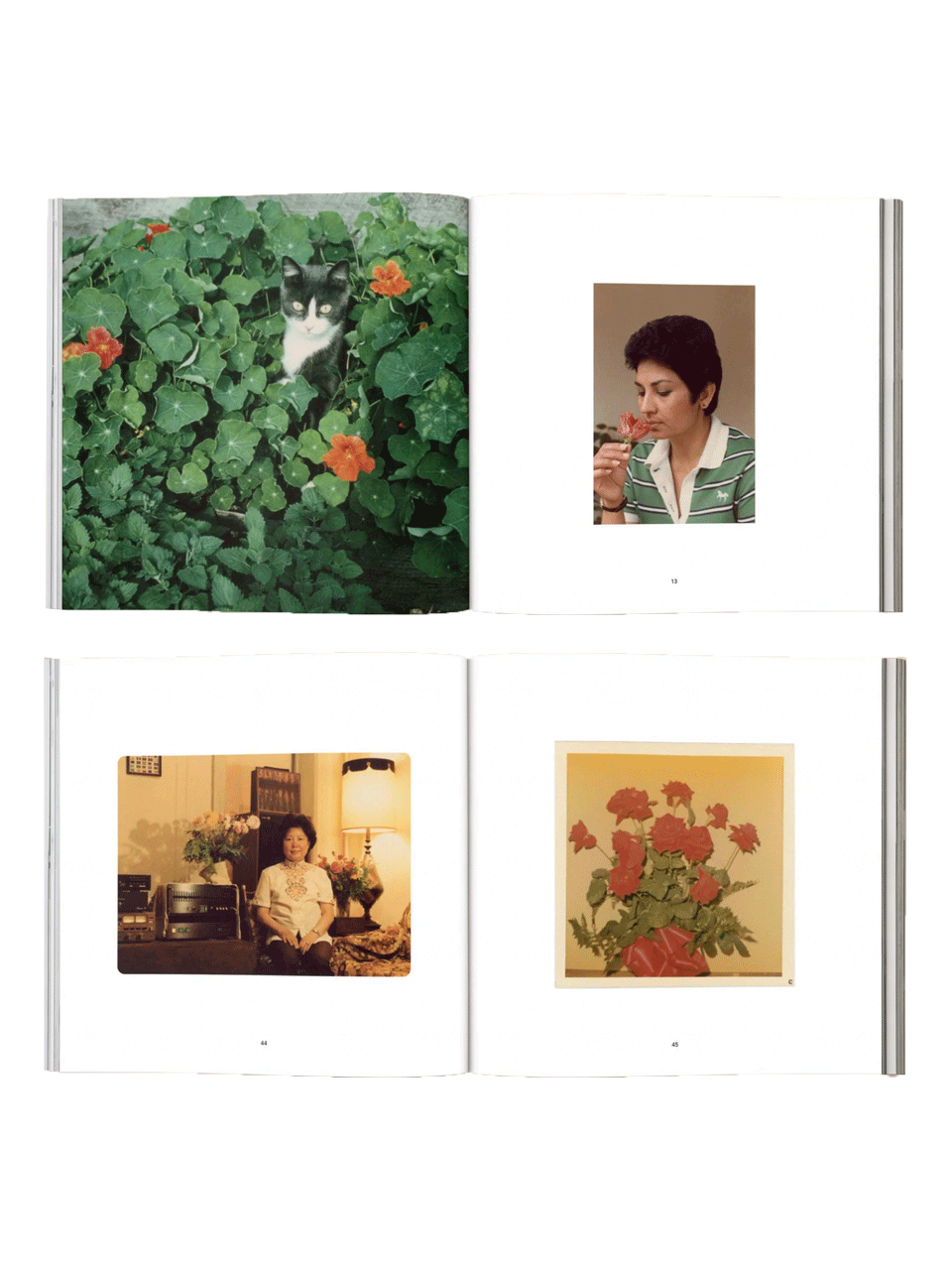 forgotten-flowers-2.png