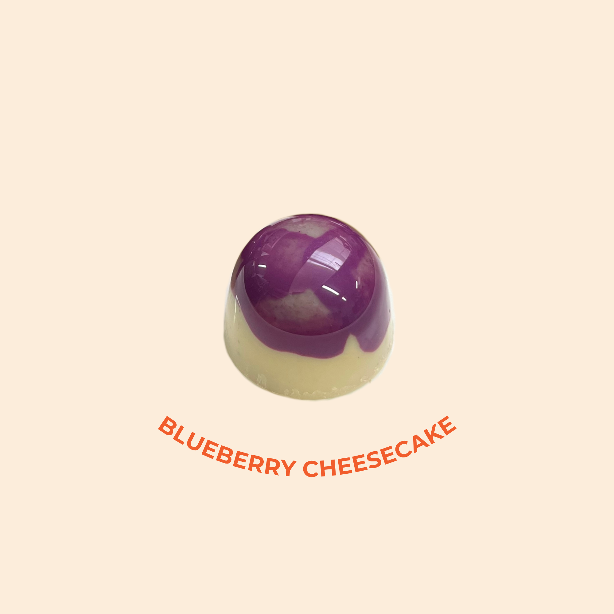 BLUEBERRY CHEESECAKE FRONT.png