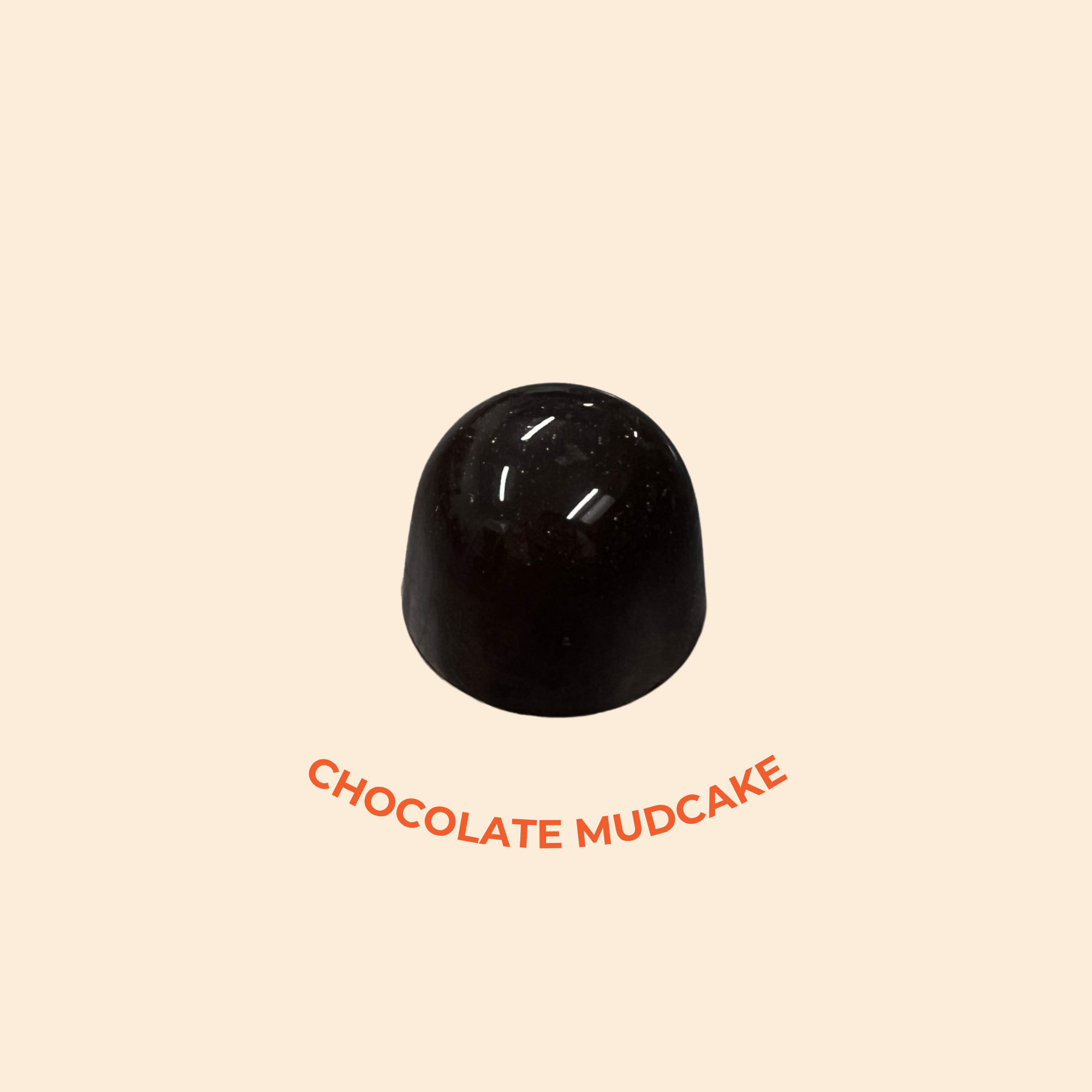 CHOCOLATE MUDCAKE FRONT.png