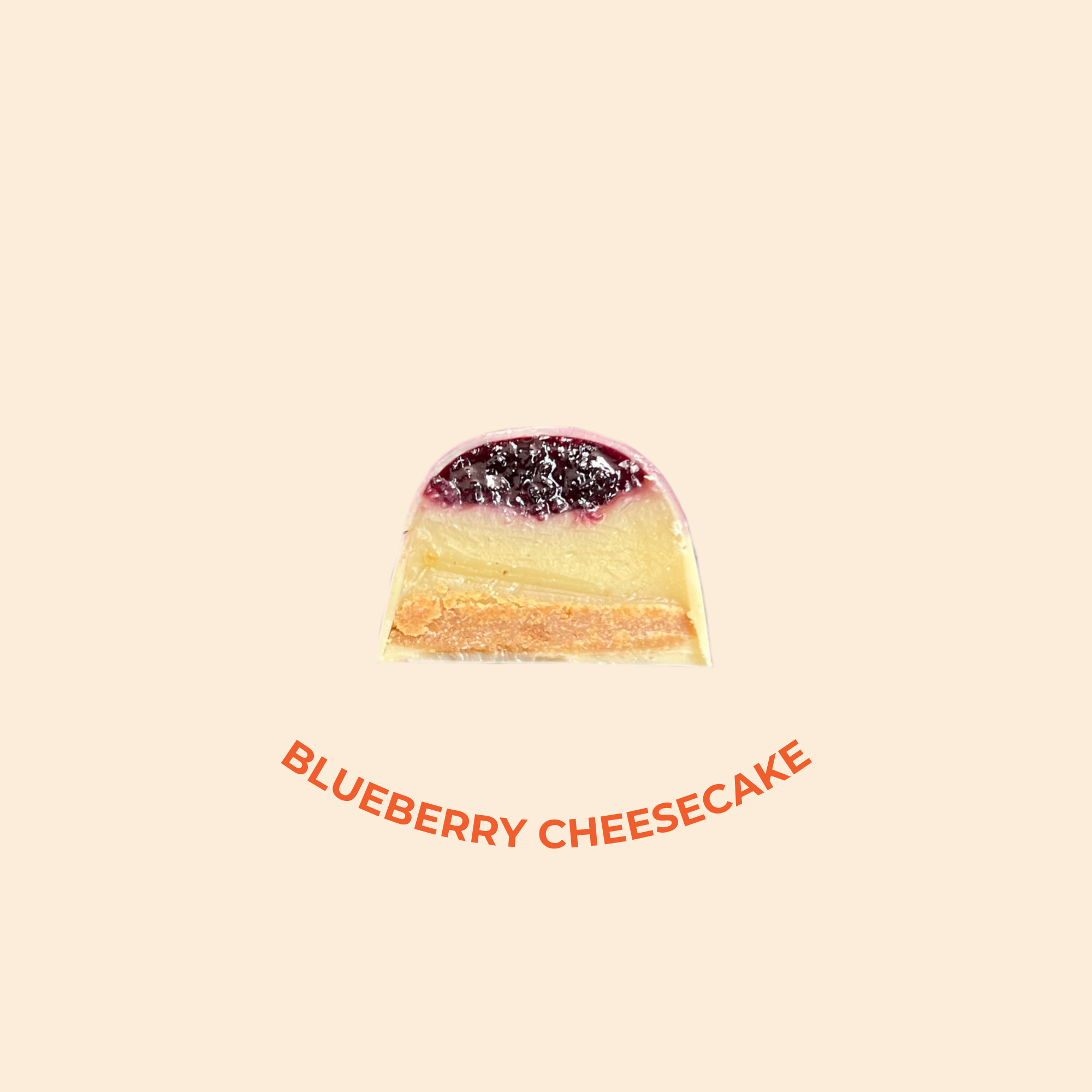 BLUEBERRY CHEESECAKE x section.png