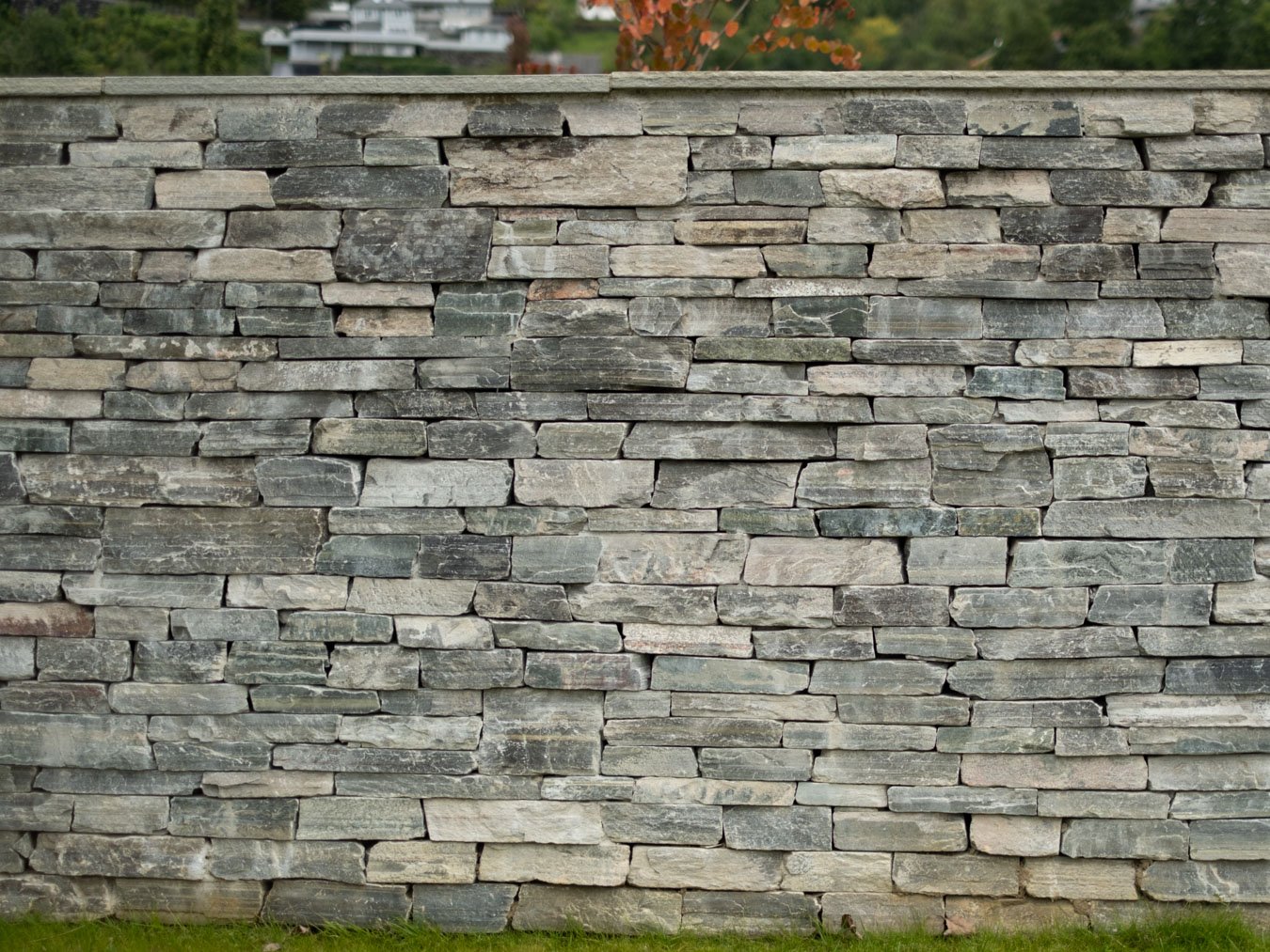 20251110_Minnelund_1_0052.jpg