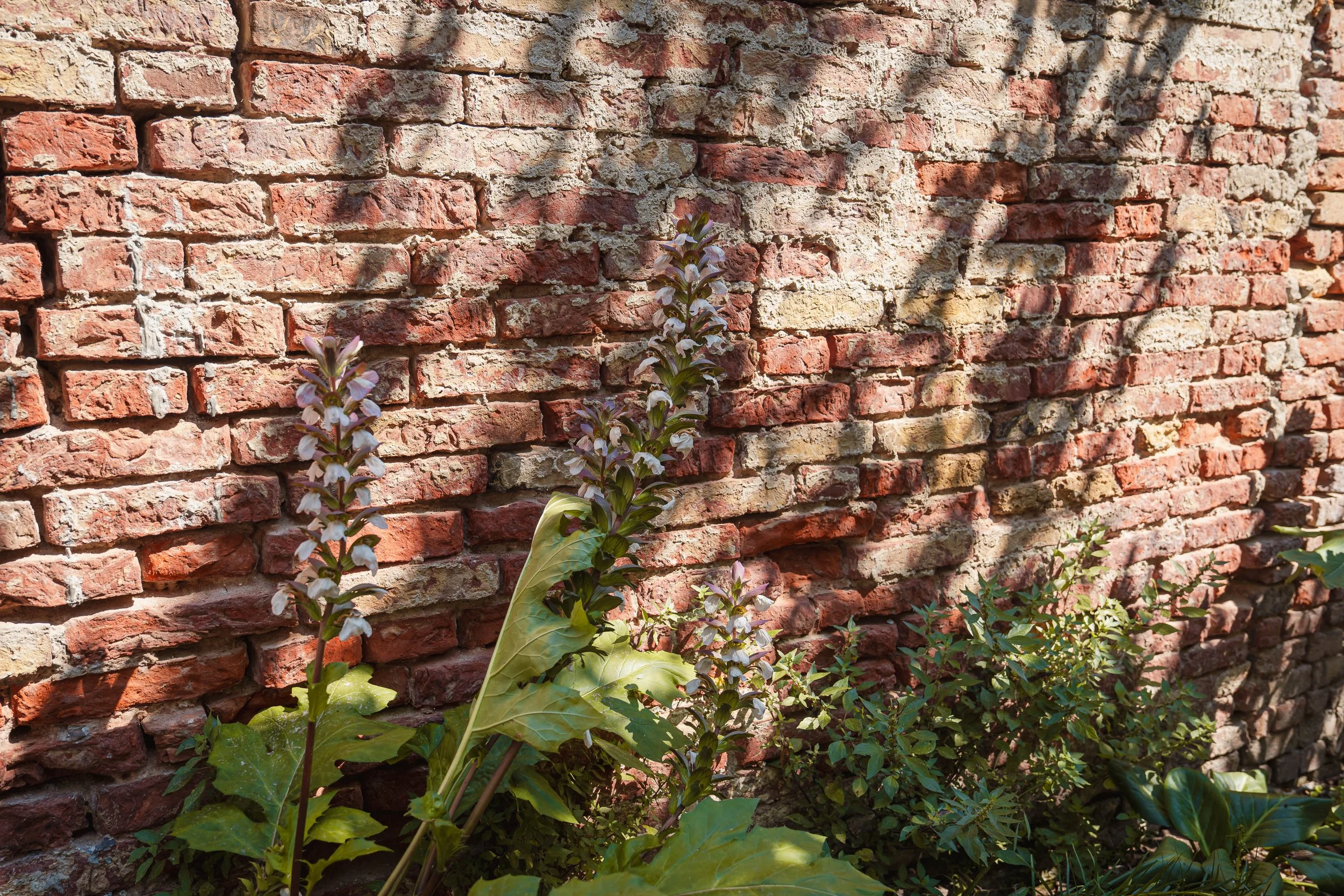 mylandscapestudio-047.jpg