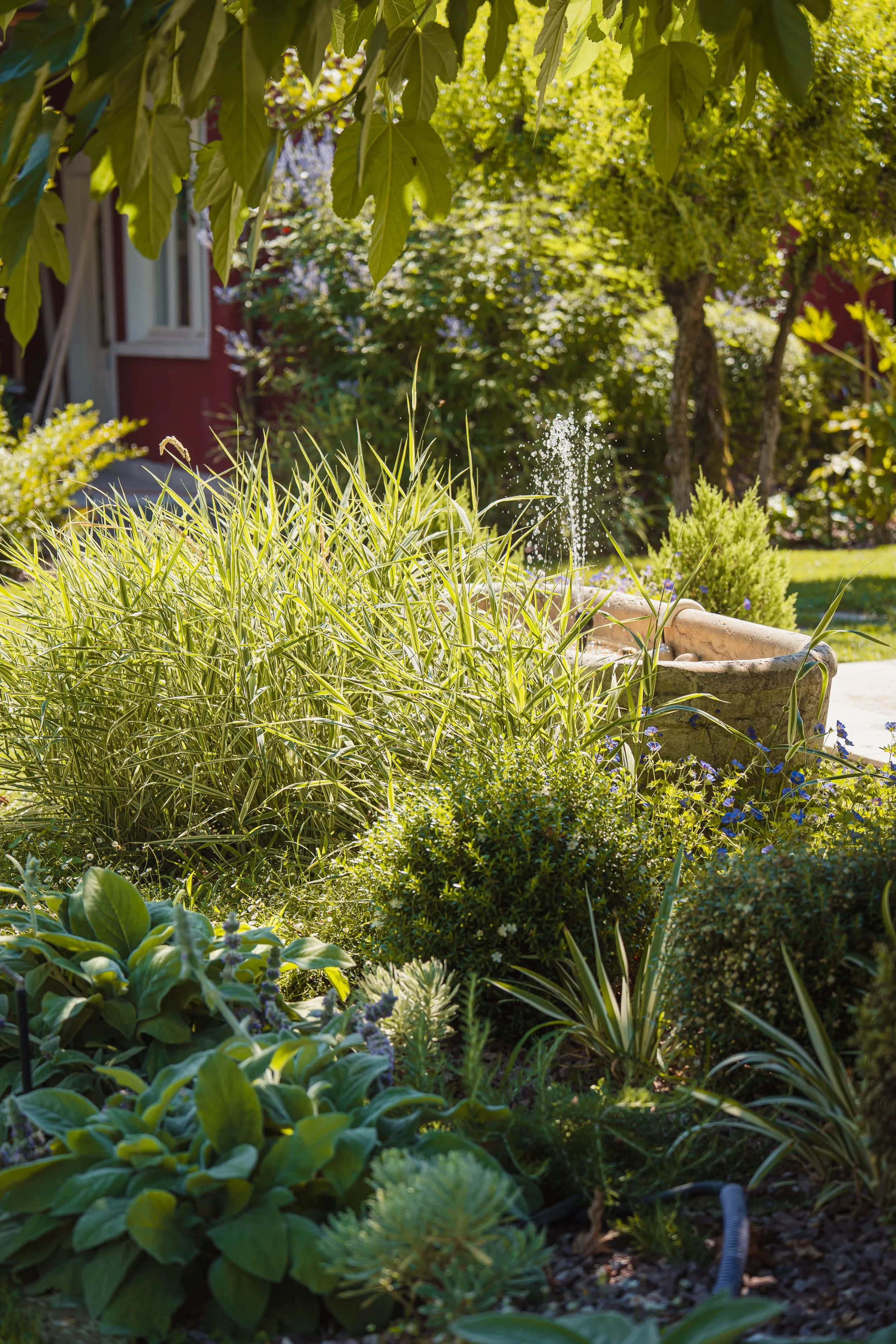 mylandscapestudio-020.jpg