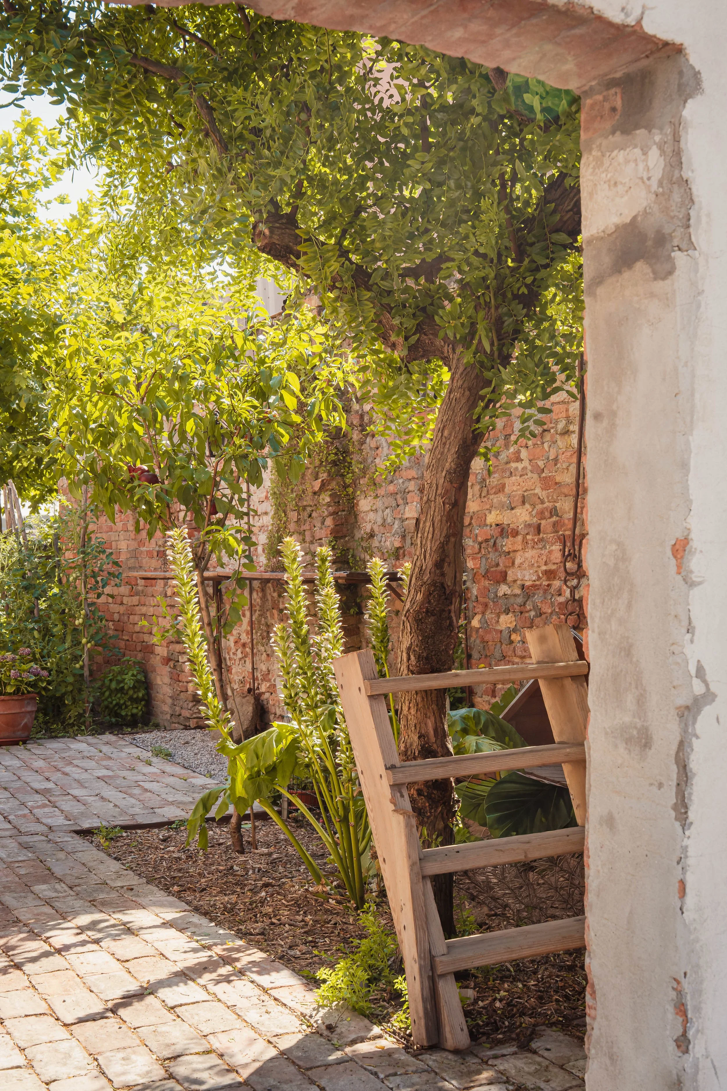 mylandscapestudio-062.jpg