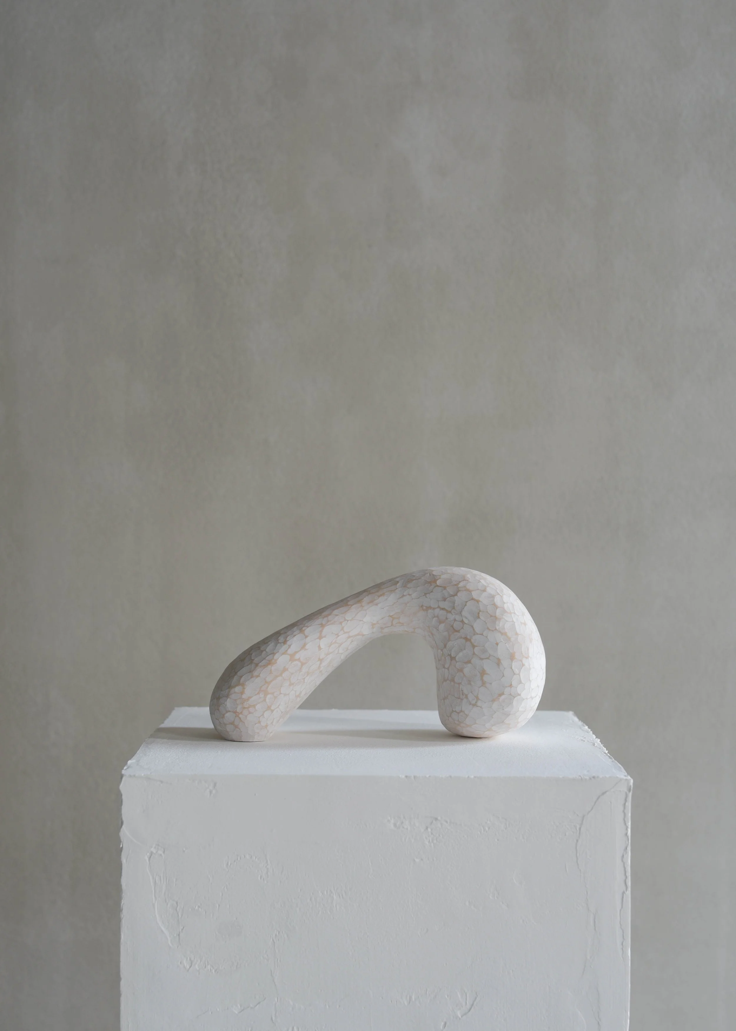 イキモノ　ほ（Living things  Ho）