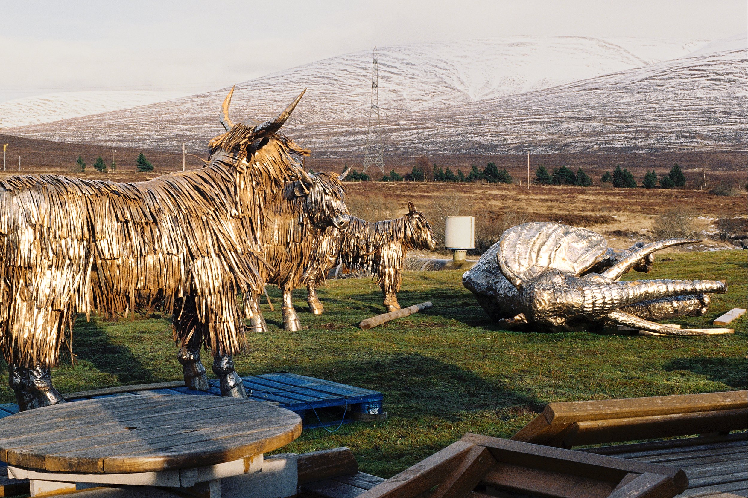 Strange scenes in Dalwhinnie