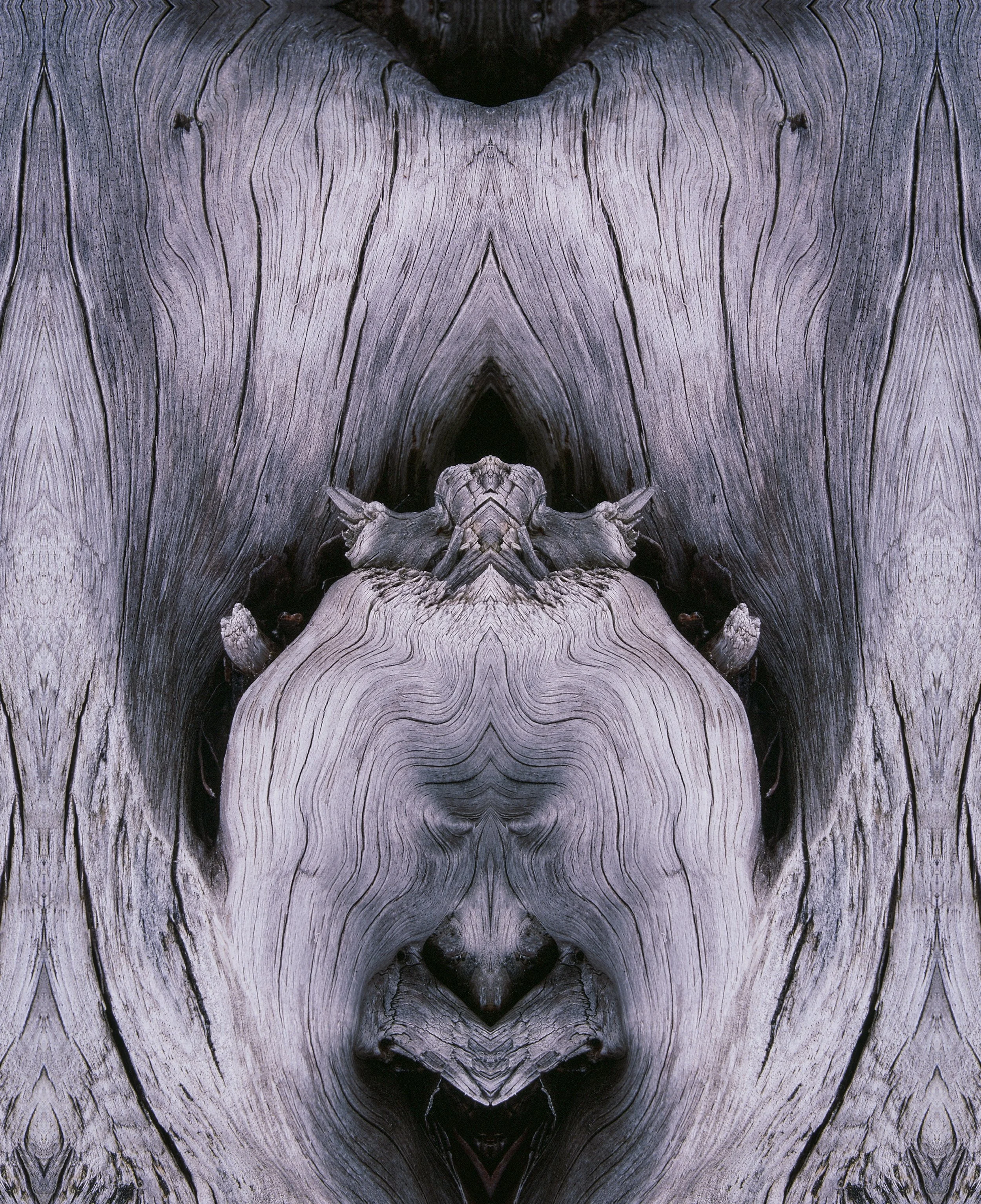 INDIGENOUS SPIRIT SOMEHOW