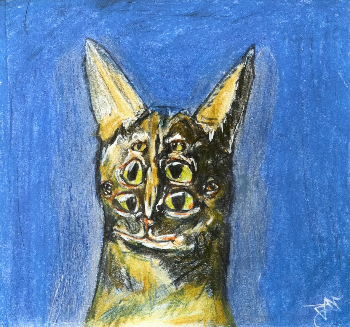 Hardy Cats.jpeg