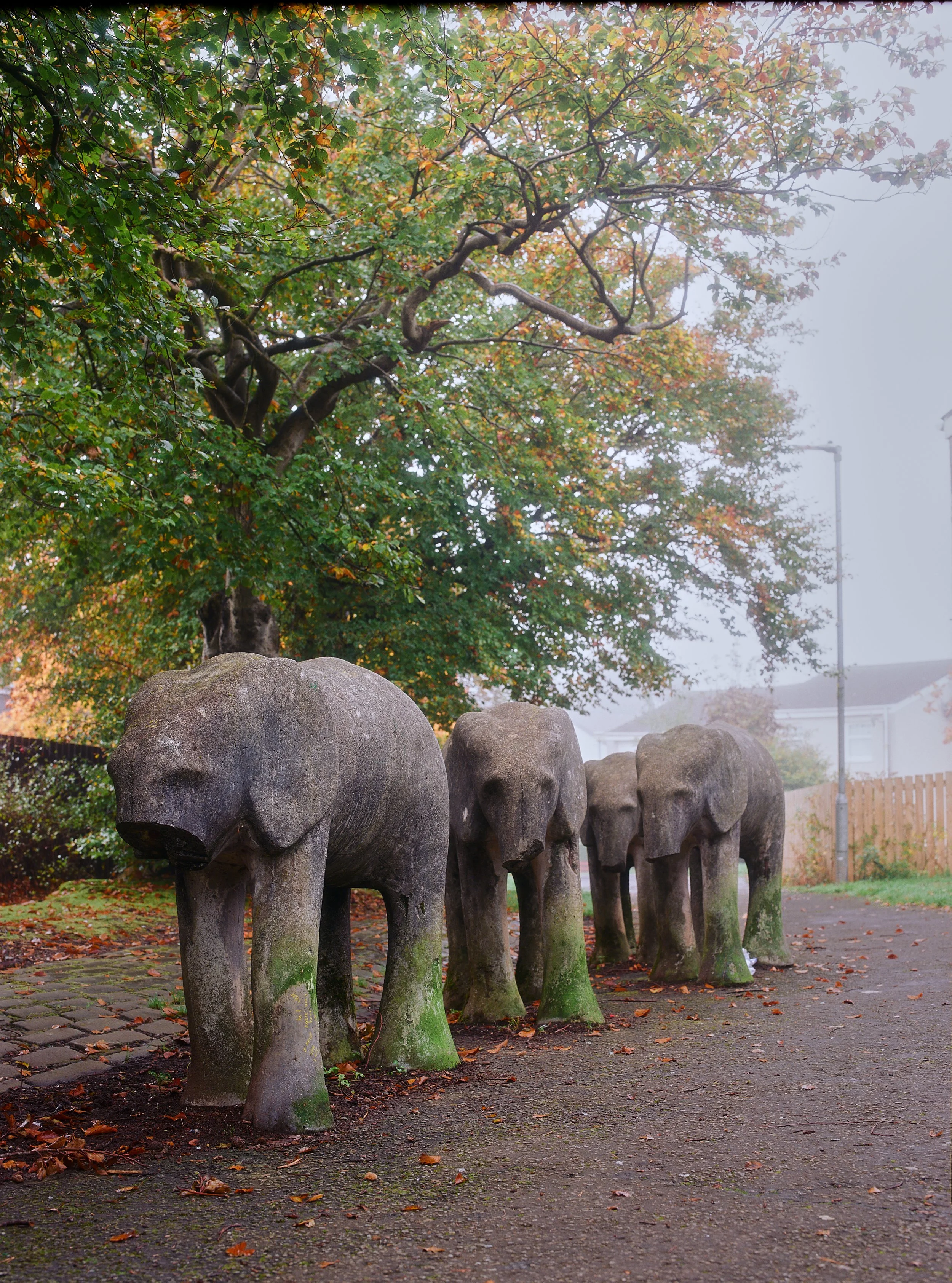 The Elephants of Westwood East Kilbride - Stan Bonnar 1973