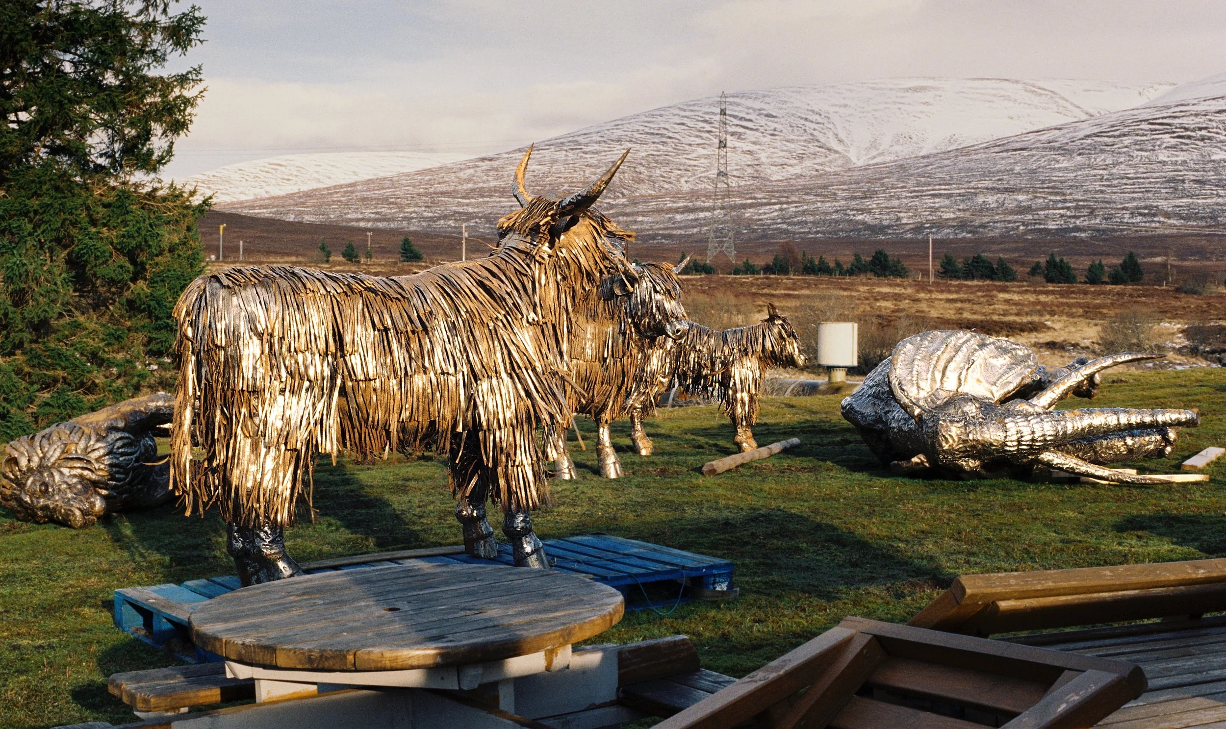 Where's the fckng Unicorn? - Dalwhinnie