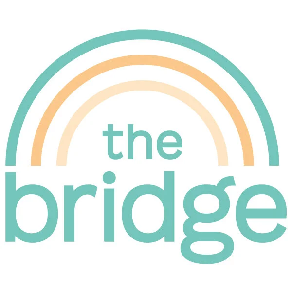 The Bridge - Volunteer