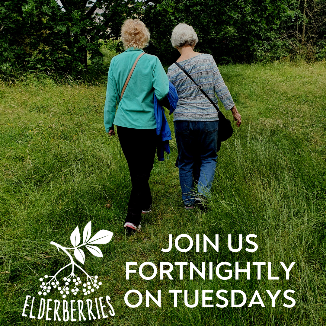 Website home page widgets-12.png