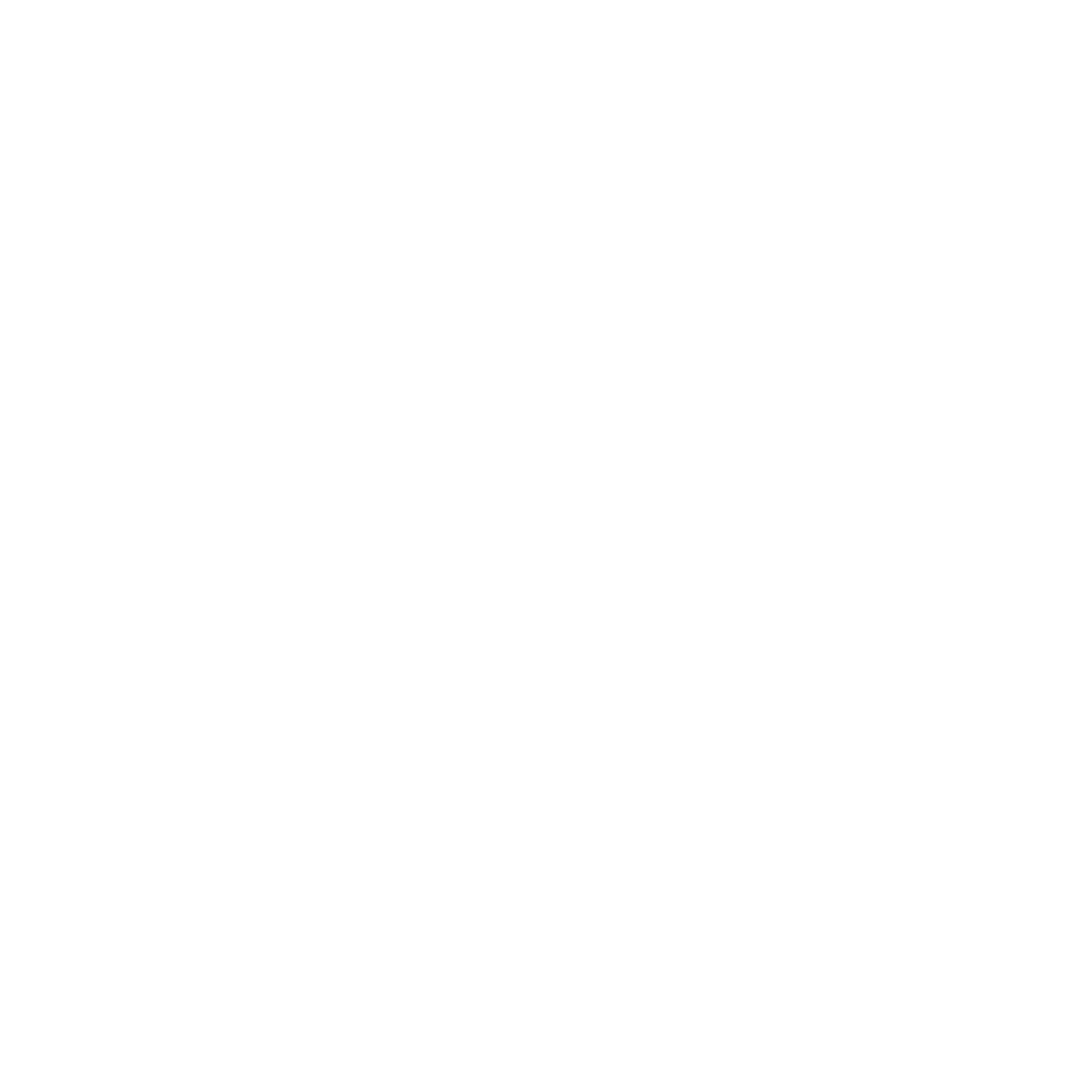 International stunt acadamy