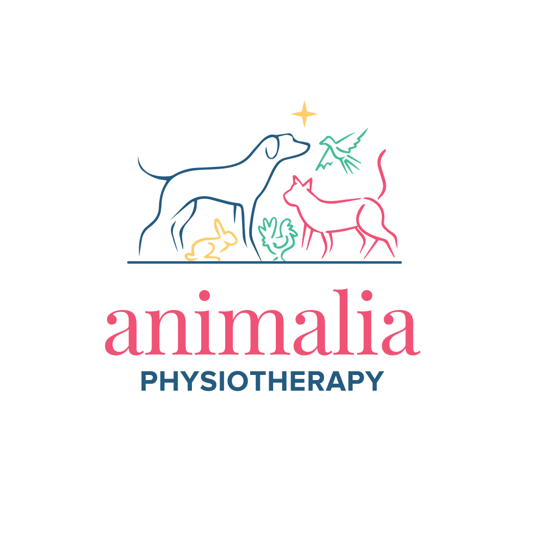Service Fees — Animalia Physiotherapy