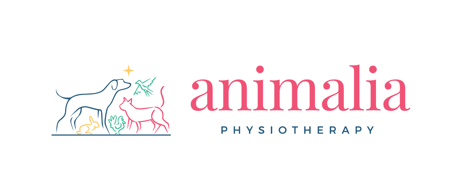 Animalia Physiotherapy
