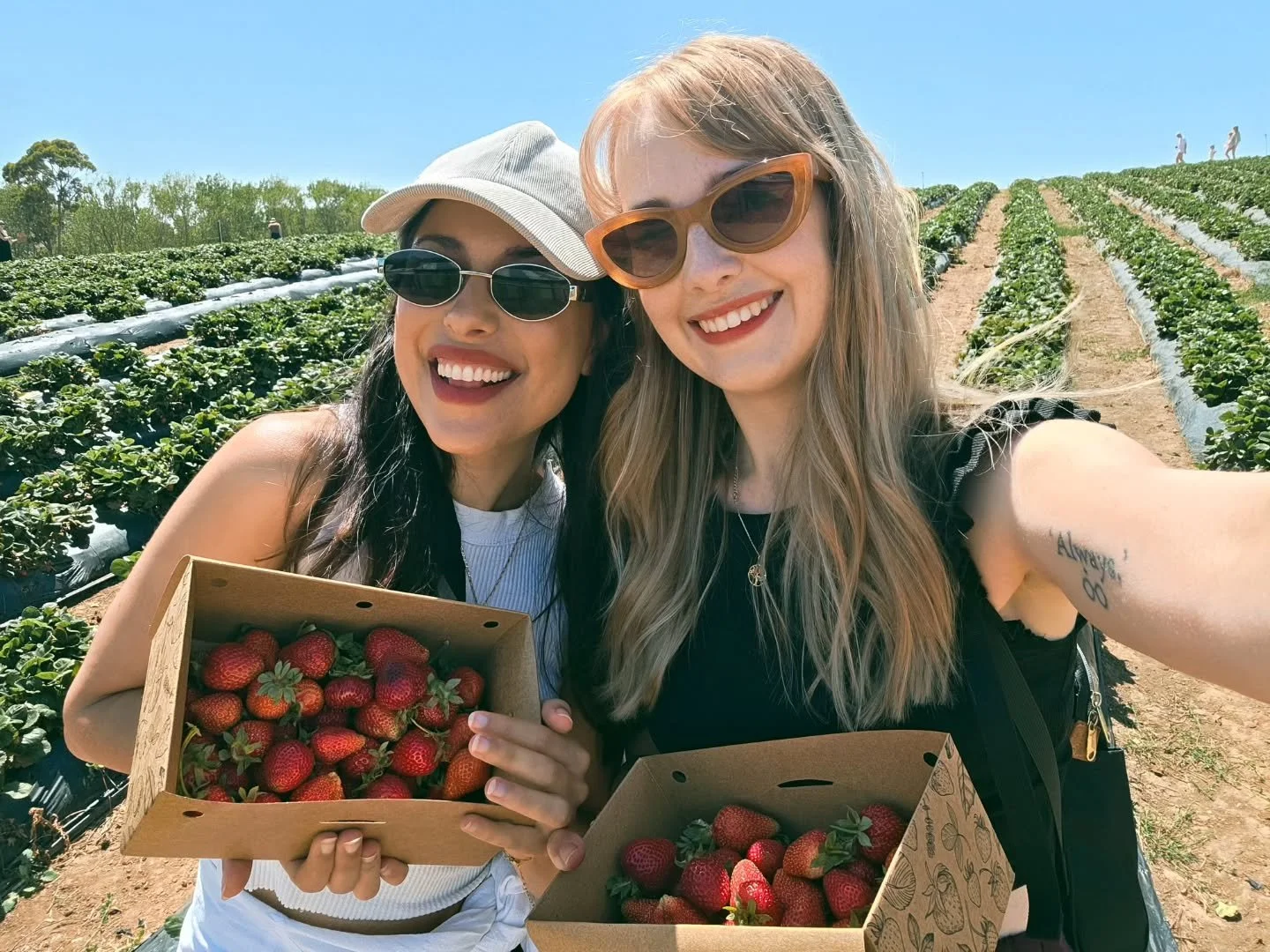 2026 so far 🫖🍂🌷✨️🐶

Strawberry picking, and Mabel turning one, and lots of loved ones, and learning how to cut Mabel's hair, and Baby Metal, and our garden, and my debut novel almost almost out in the world :-)