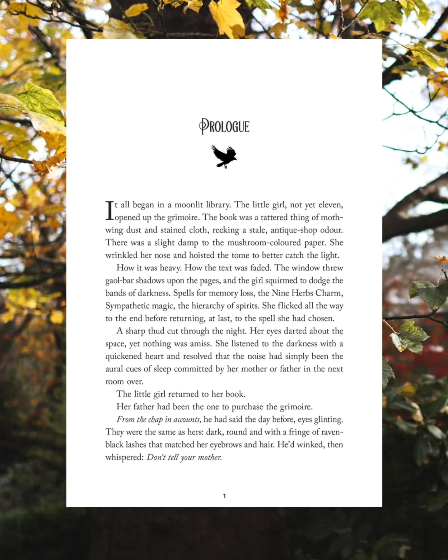 It's officially TWO MONTHS until Theodora's Tea Shop comes out!! My debut novel will very very soon be on shelves. To celebrate, here are the first two pages of the prologue 💛 

July 28th cannot come sooner 😭 

Pre-orders are available now!
