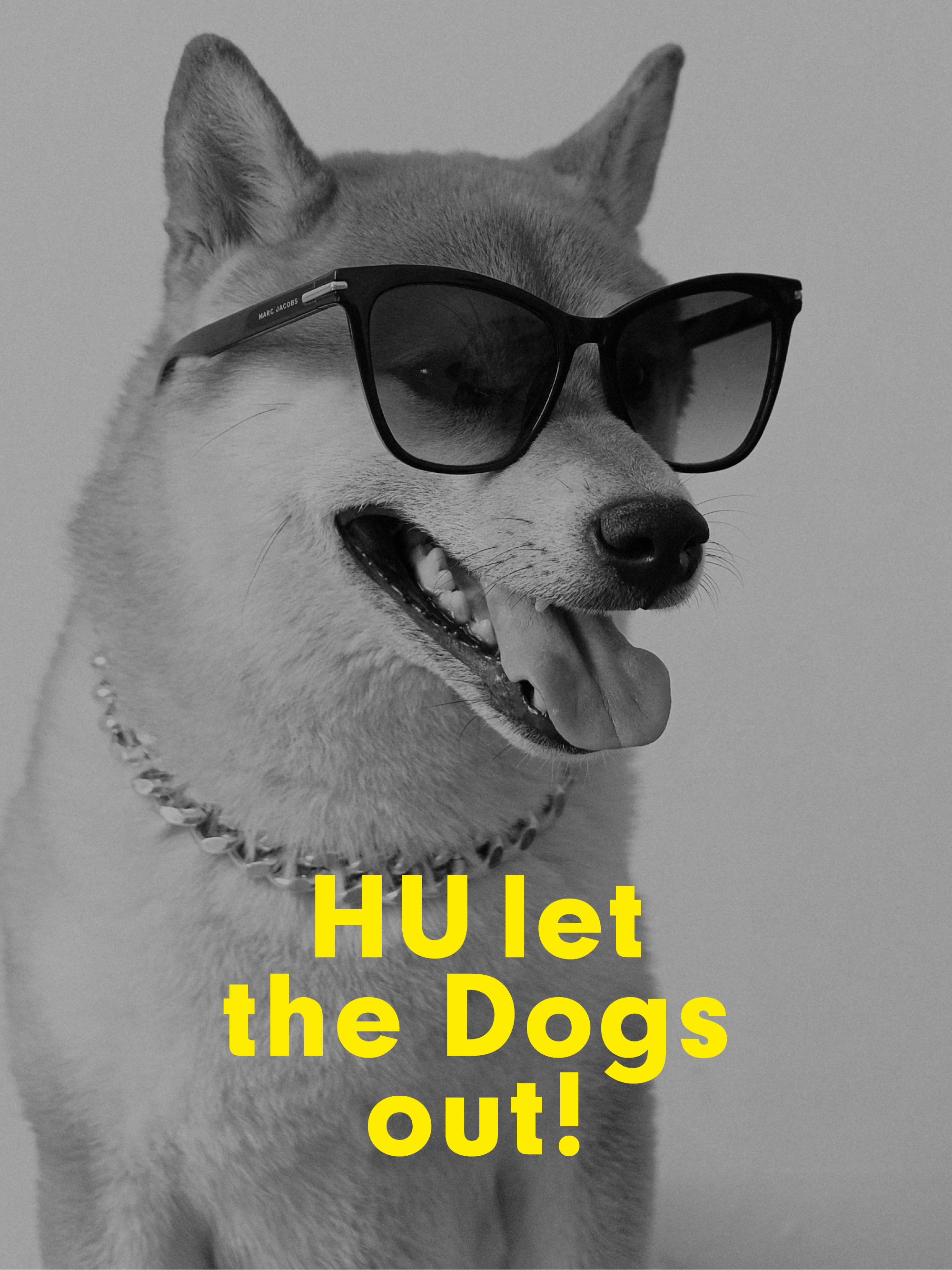 VON&amp;ZU – Lifestyle für den Hund
