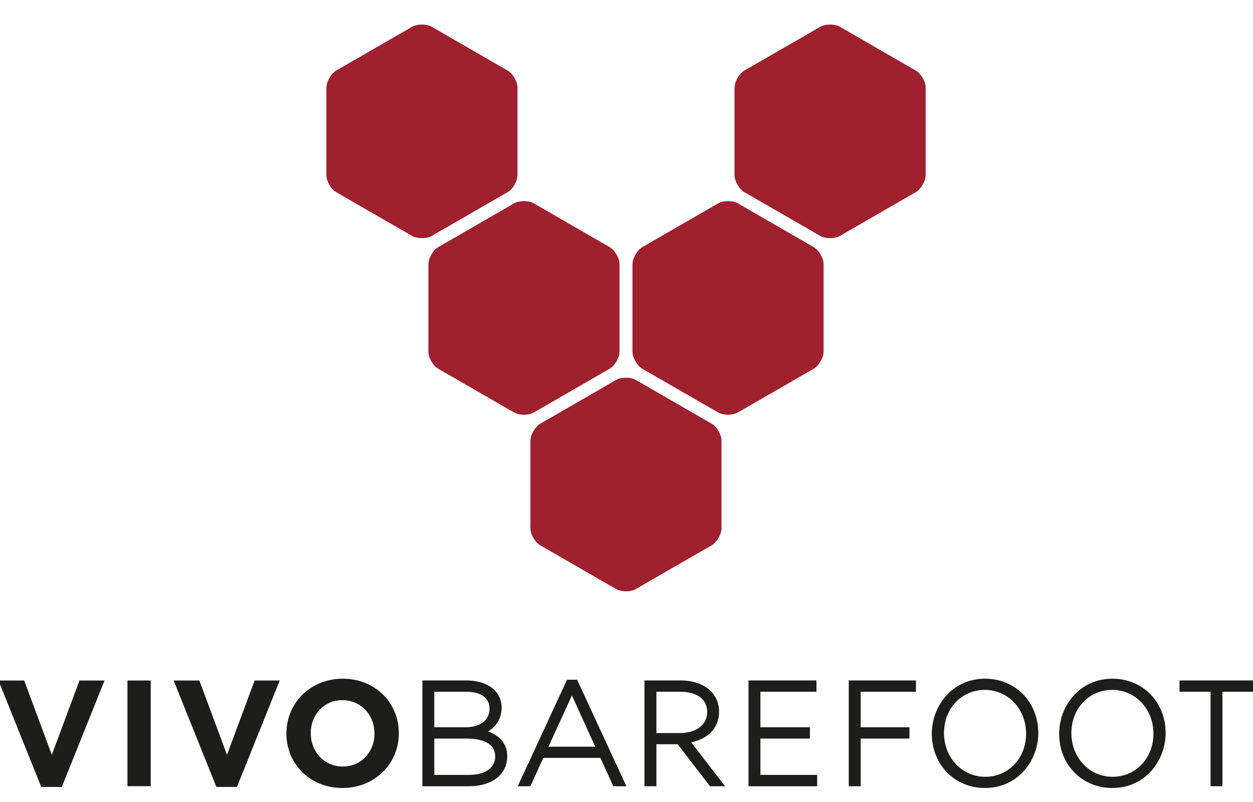 VivoBarefoot-transparent-logo.png