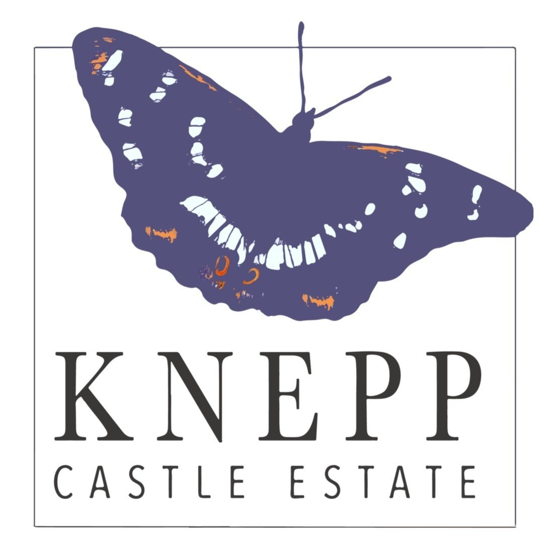 Knepp-Castle-Estate%252BLogo%252B2020.jpg
