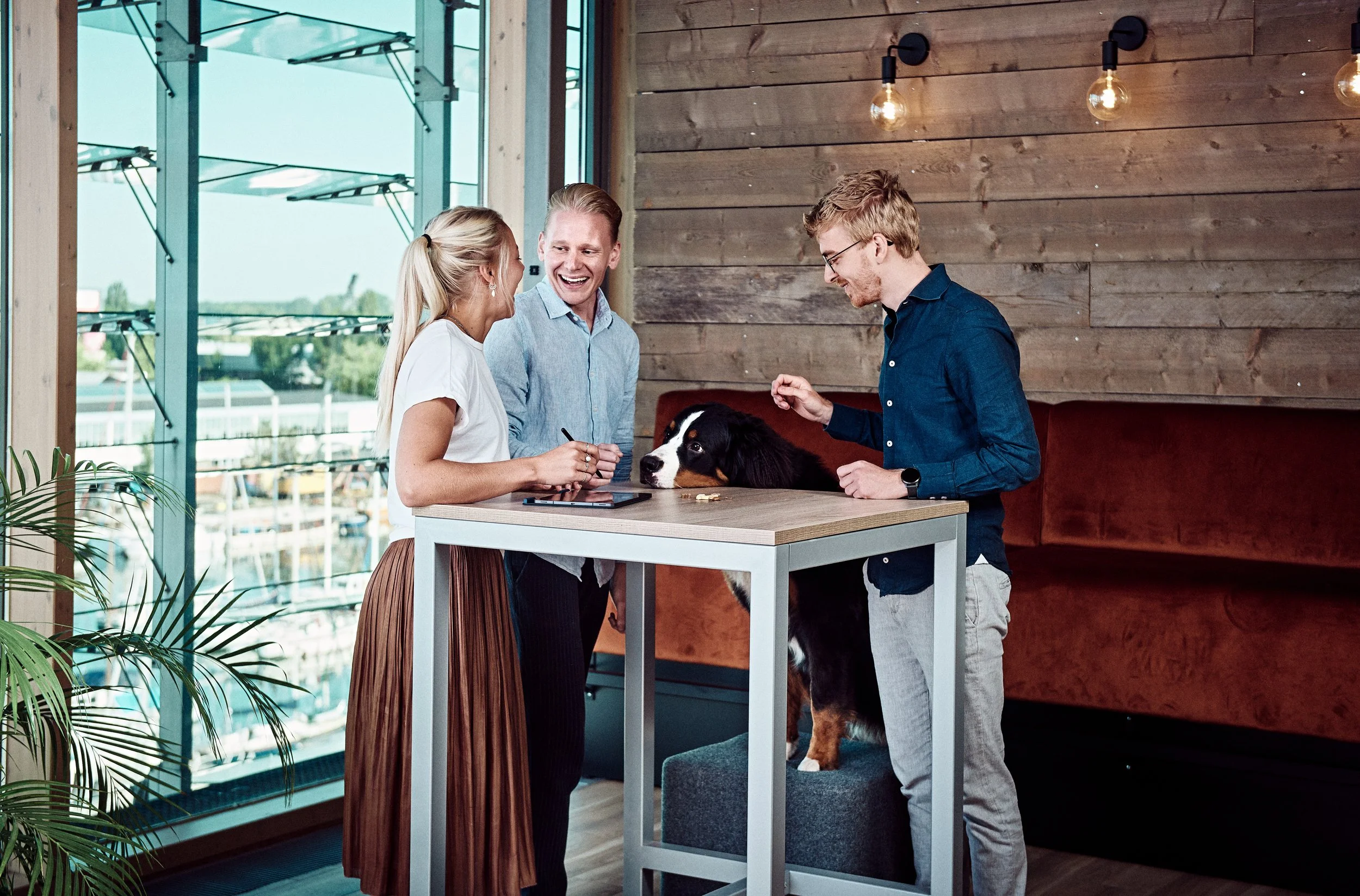 JOINSON&SPICE | Dé Tech accountant