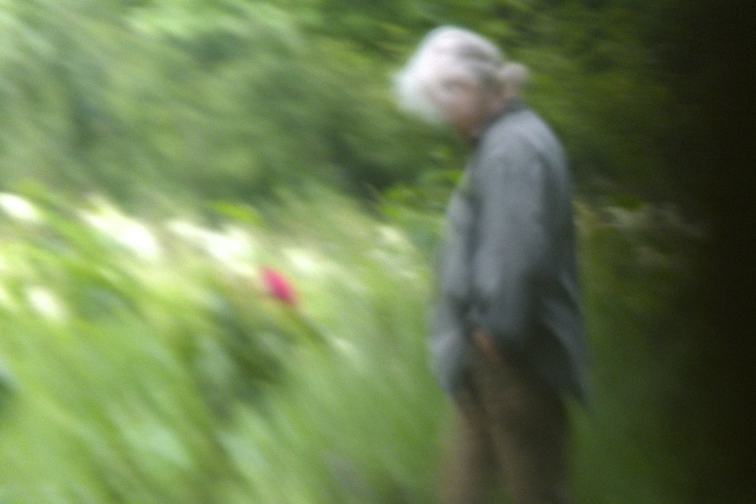 L1100450.jpeg