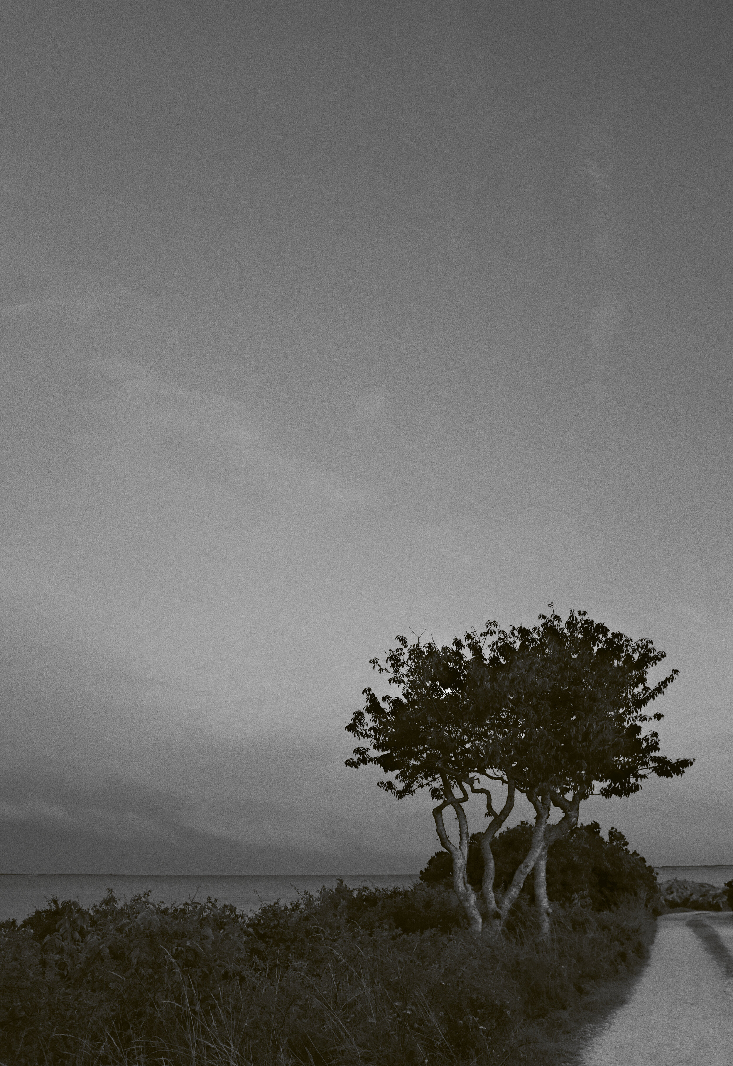 Från boken Gotland in the gap – Fotograf Jonas Sahlström