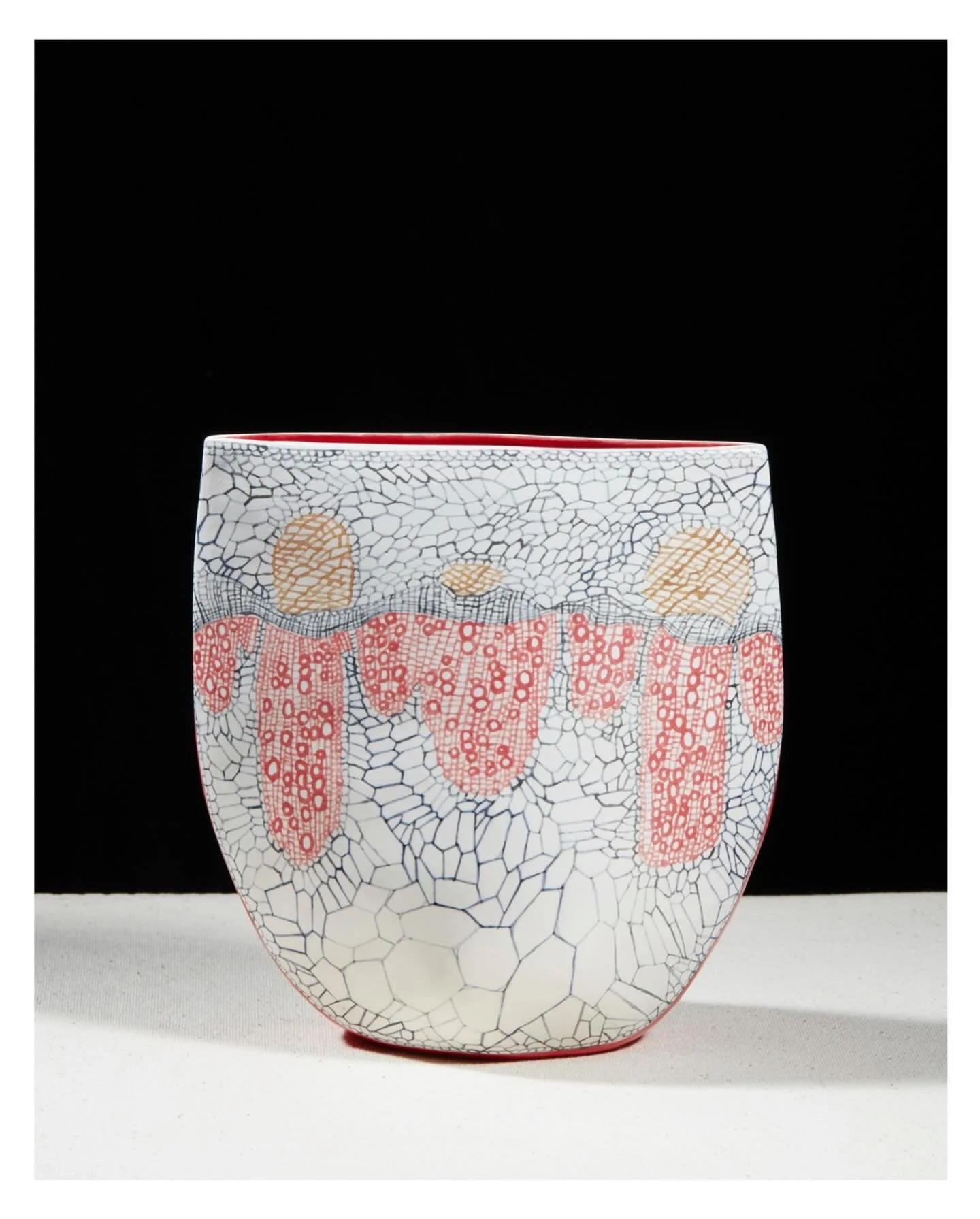 3/3 A Scarab, whose skin is decorated with the cellular patterns of a dicotyledon, beautifully photographed by Alex Braun
#ccceramics #luxurylifestyle #dicotyledon