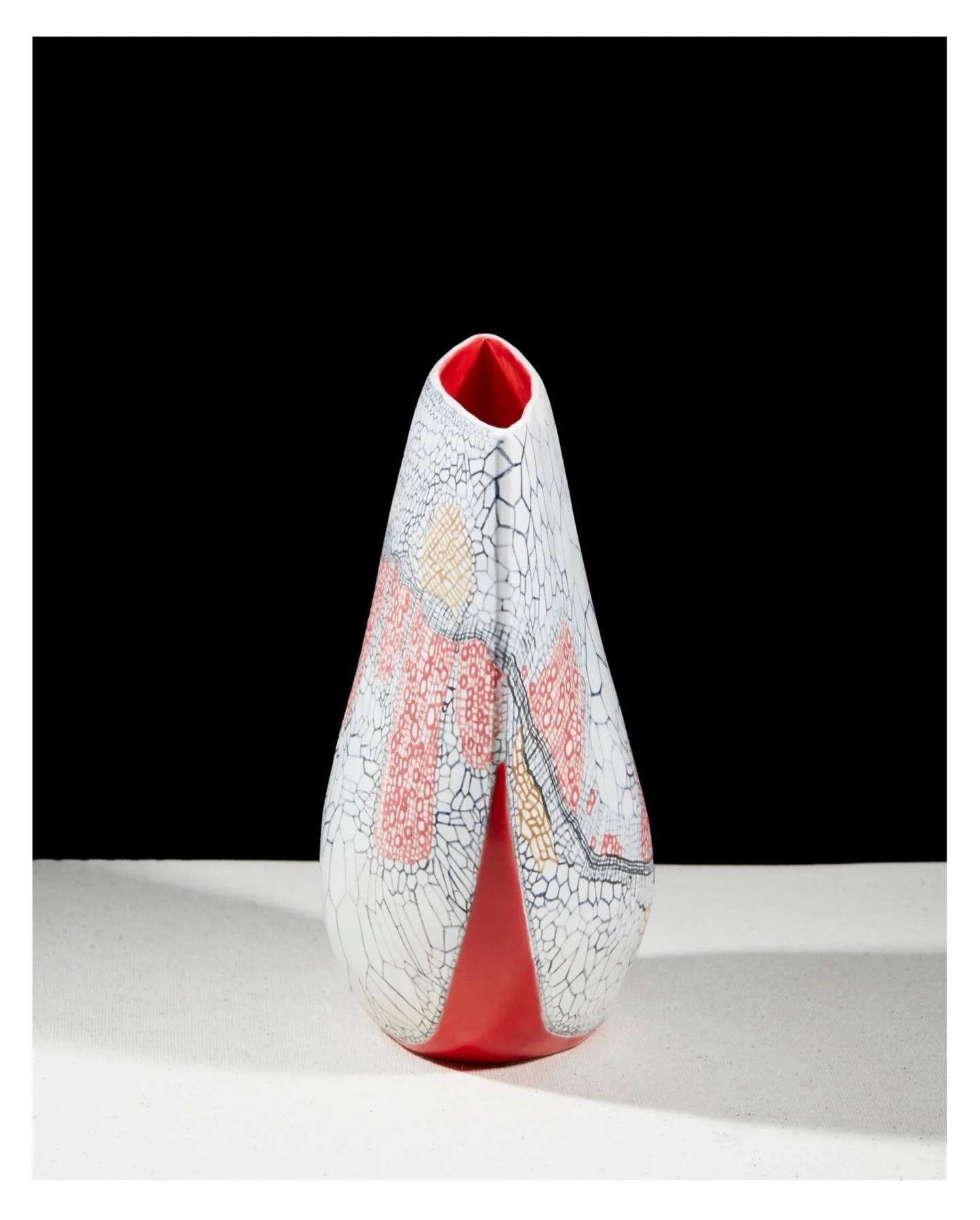 2/3 A Scarab, whose skin is decorated with the cellular patterns of a dicotyledon, beautifully photographed by Alex Braun
#ccceramics #luxurylifestyle #dicotyledon