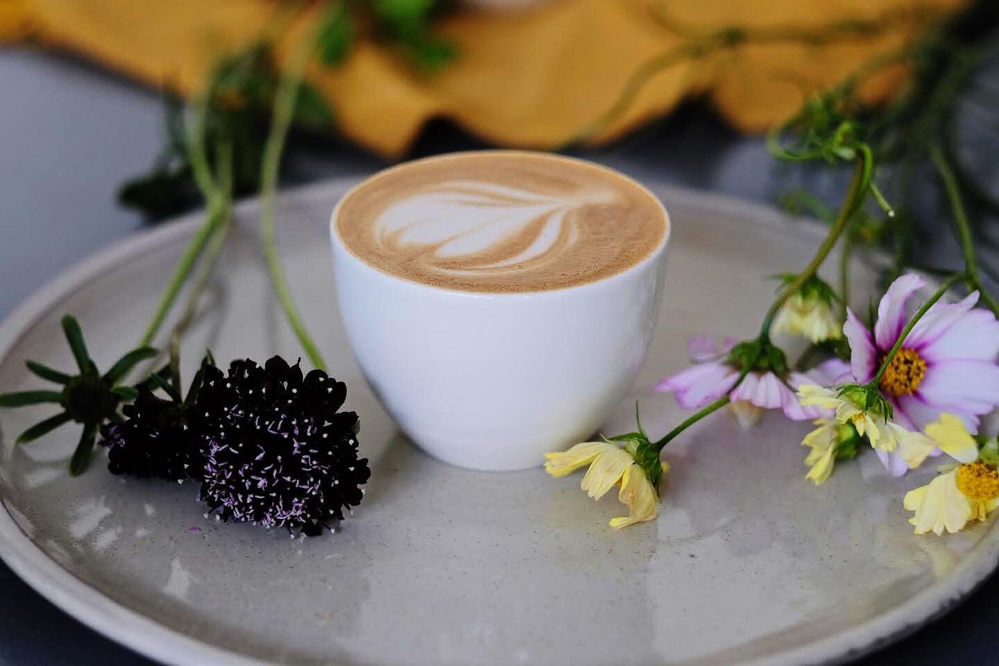 We are kicking the Monday blues with some @legadocoffee and @merkava_coffee coffee 💥 and some of @jamestownflowerfarm flowers because autumn is creeping in 🍂