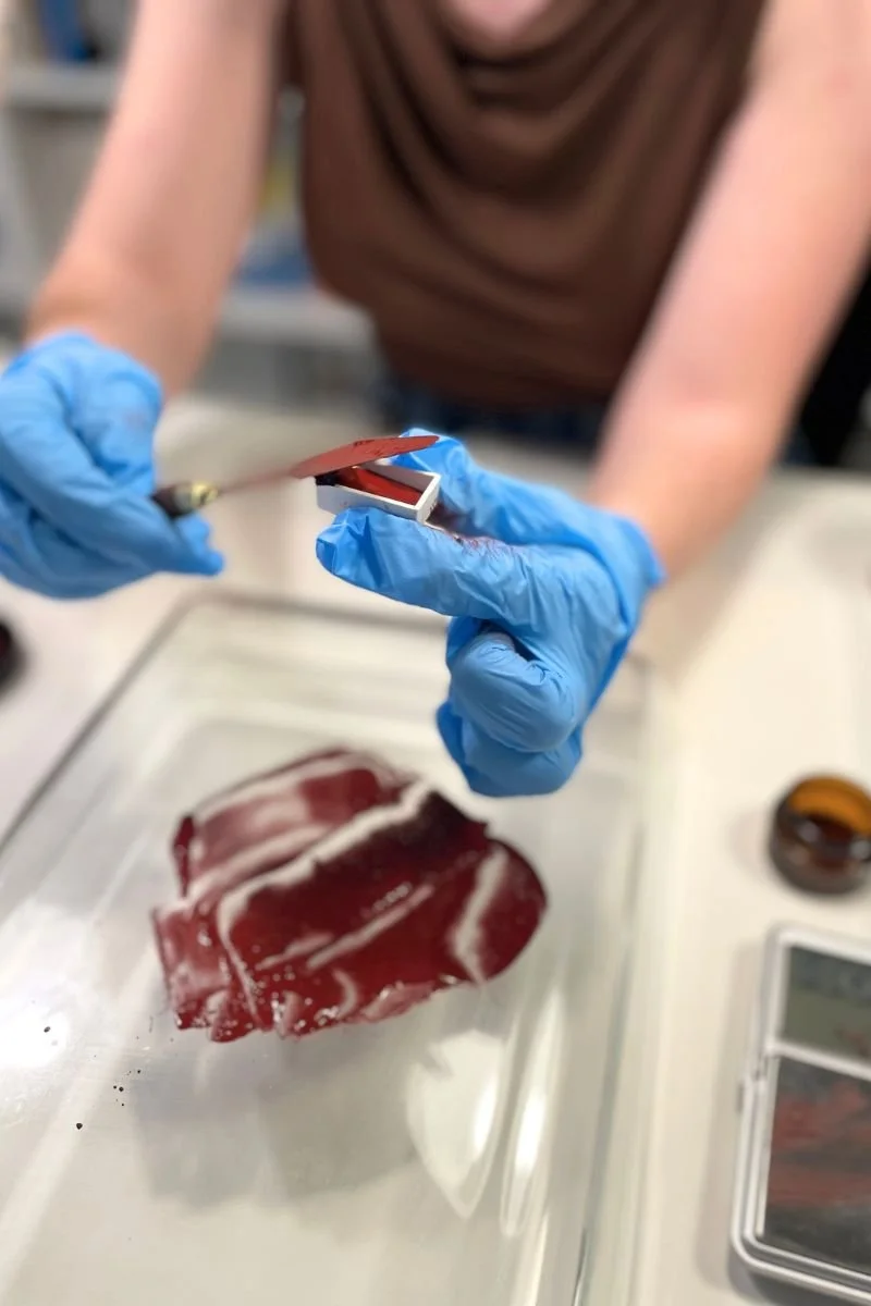 Private corporate workshop exploring natural watercolour pigments at Zurich Art Club