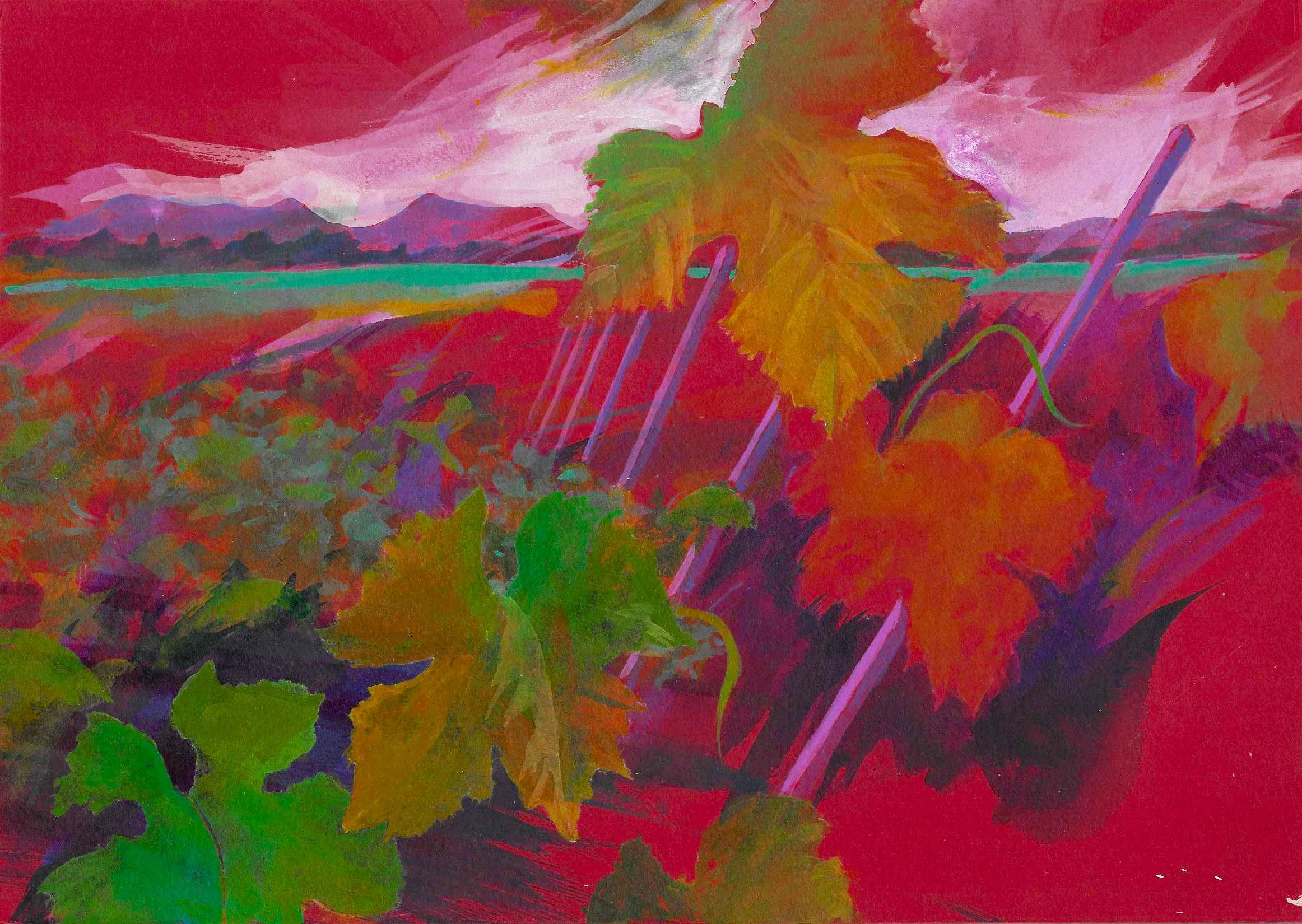 Vines - Obernai, Alsace, France (20 x 29cm)