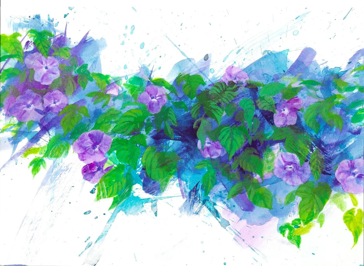 Morning Glory - Bouzigues, Etang deT hau, Languedoc, France (20 x 29cm)