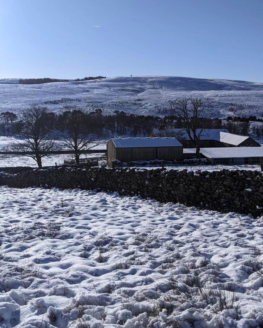 More picture postcard snow scenes from the 💚 of @theyorkshiredales

#snowday #snow #uksnow #winterwonderland #yorkshiresnow #yorkshiredales #youryorkshire #Nethergillfarm #nethergill #oughtershaw