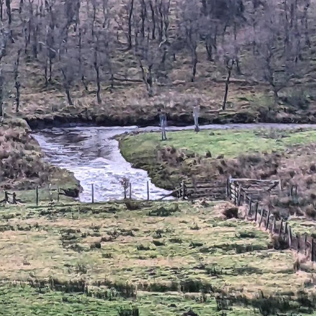 River Rewiggling - Embracing Nature's Rhythms

The first picture captures Oughtershaw Beck on a 'normal day' at one of the rewiggled sections. The second photo and the final video shows the same spot transforming into a thriving floodplain with the w