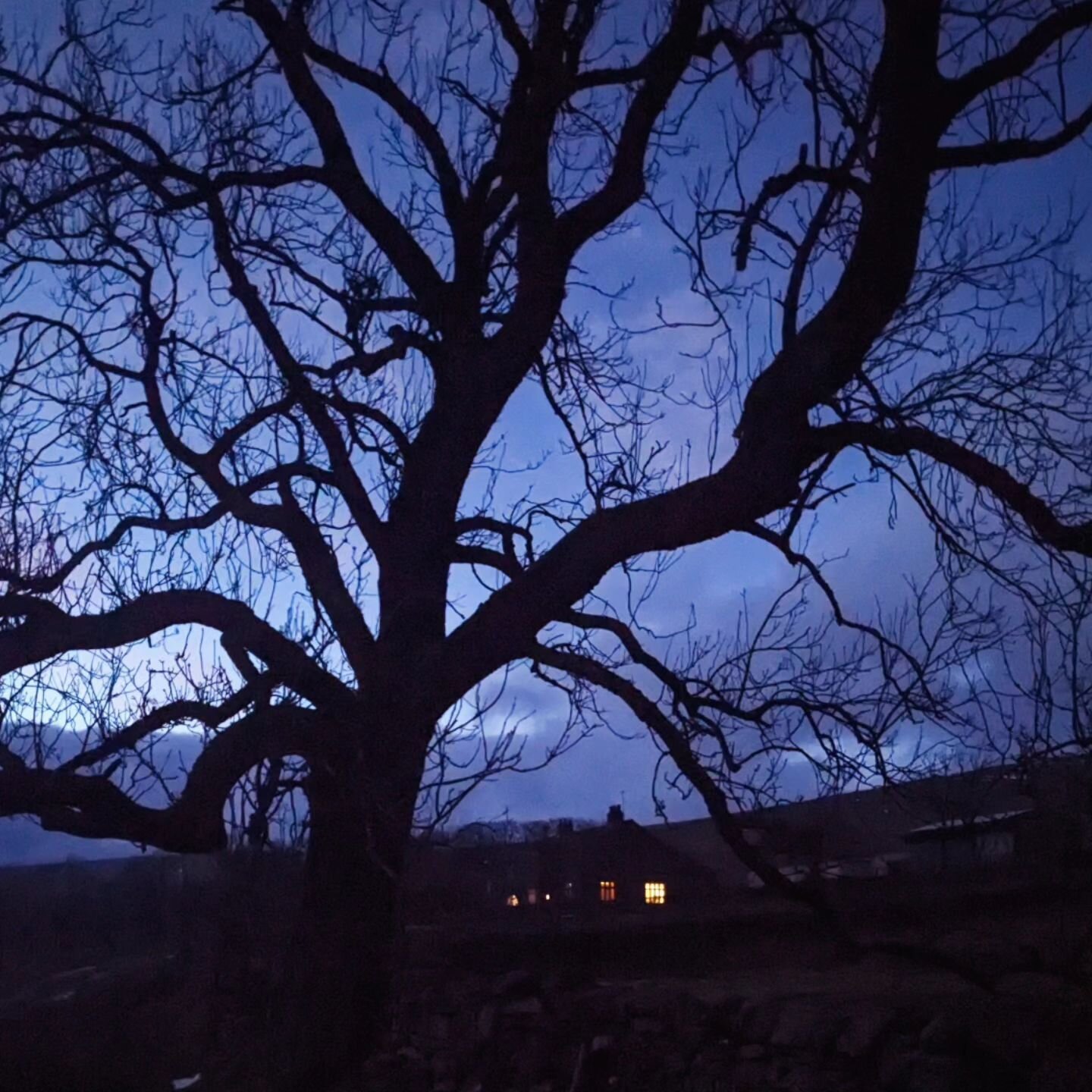 Bleak but beautiful evening in the @yorkshiredales

#Nethergillfarm #Nethergill #yorkshiredales #oughtershaw #dalesway #yorkshiredalesnationalpark #Yorkshire #yorkshiredales #wutheringheights #cosynights #bleakbutbeautiful