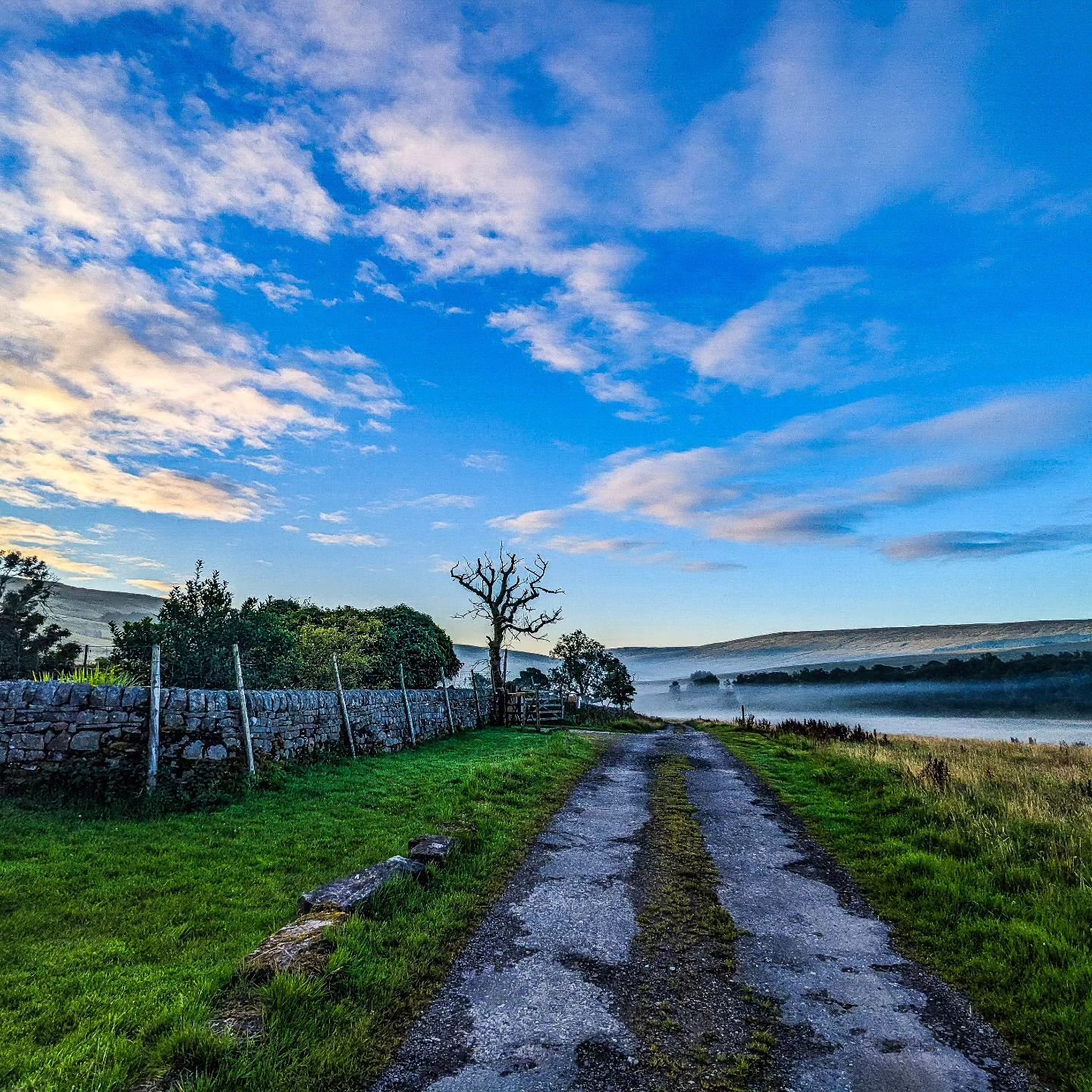 Welcome to the 💚 of the @theyorkshiredales

#nethergill #nethergillfarm #yorkshiredales #dalesway